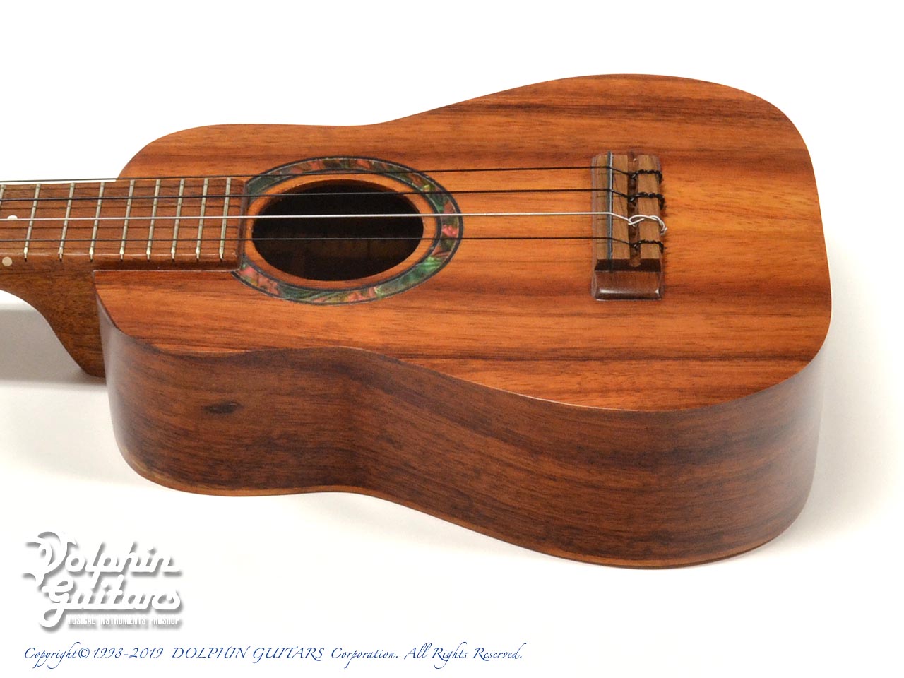 SONNY D Concert|ドルフィンギターズ