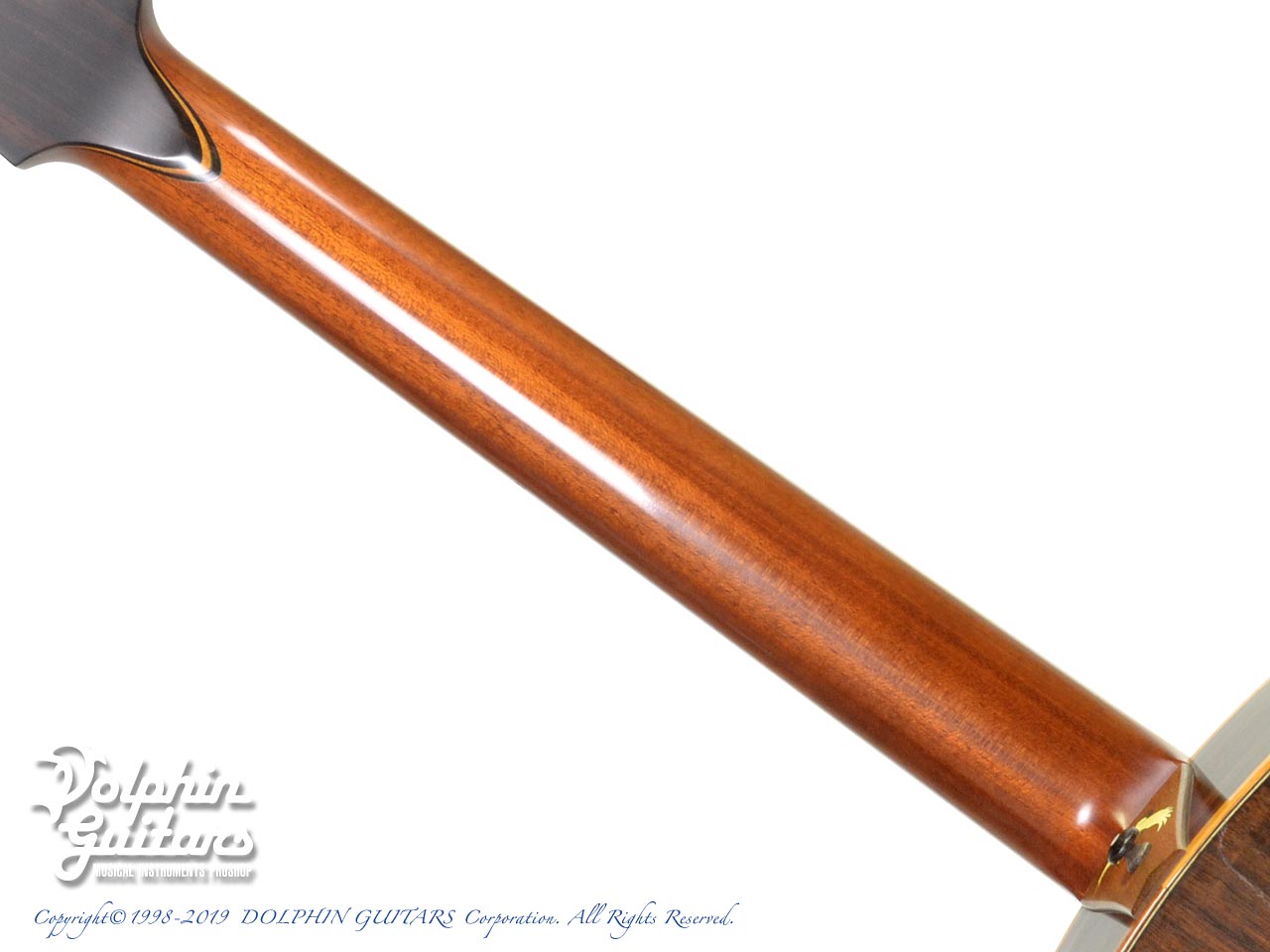 KISO KLEIN OMK-1|ドルフィンギターズ