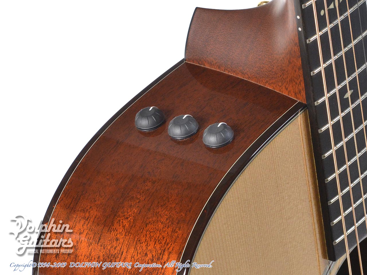 TAYLOR 510e ES2|ドルフィンギターズ