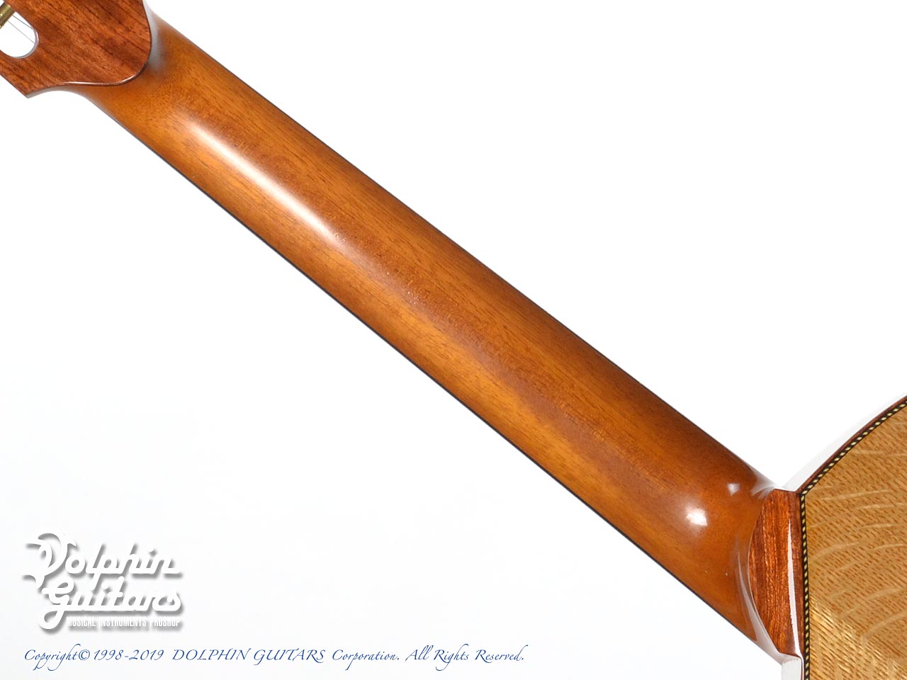 FUJI TONE製 10インチ木胴クイーカ FUJI TONE製 10インチ木胴クイーカ FUJI TONE製 10インチ木胴