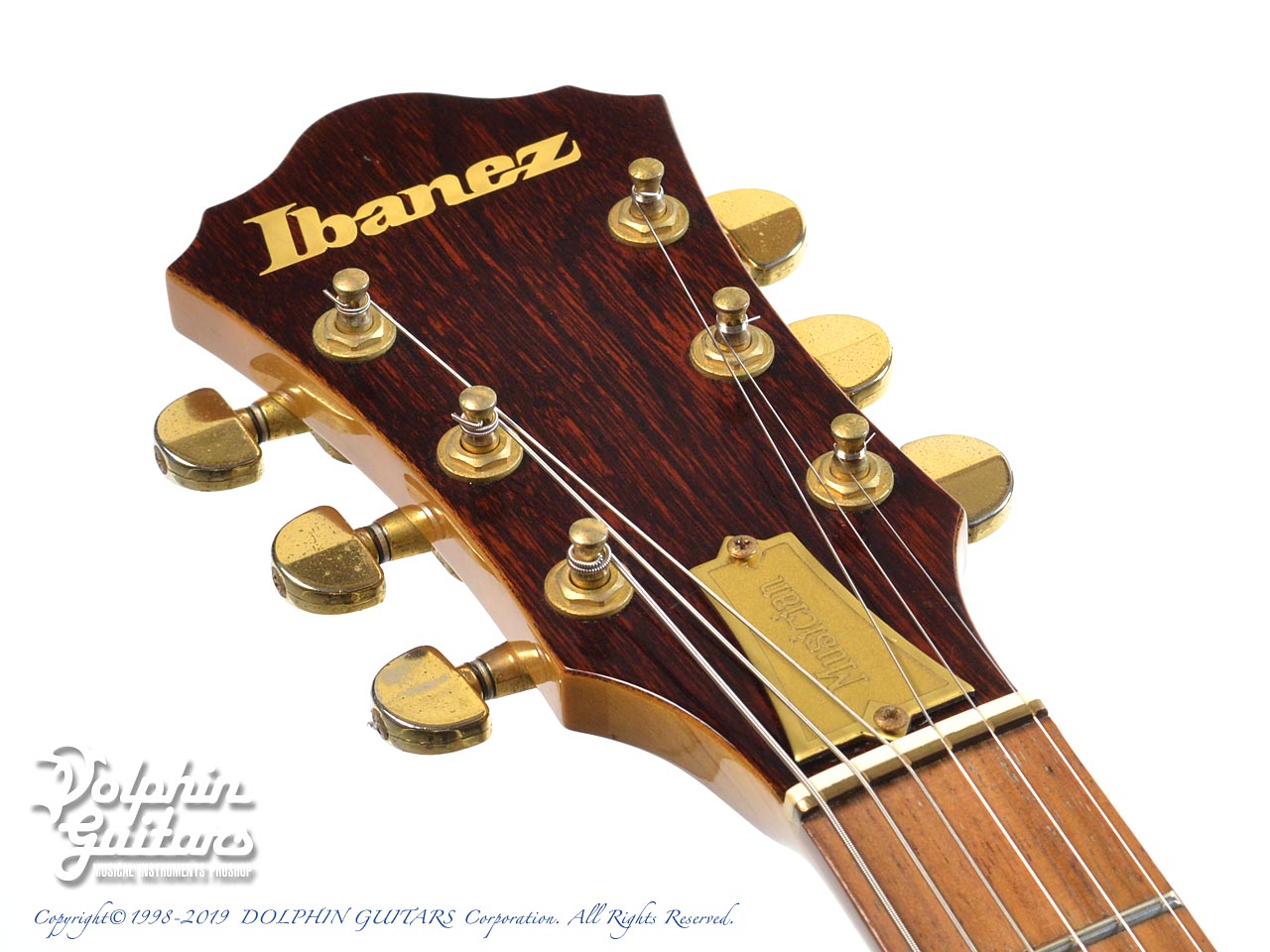 Ibanez MC300 Dark Stain|ドルフィンギターズ
