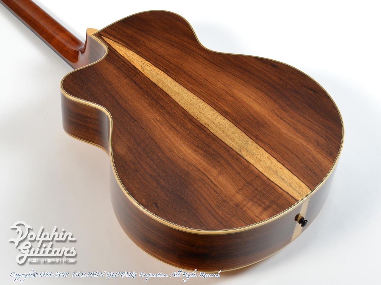 JOE STRIEBEL RS Cutaway (Jacaranda)|ドルフィンギターズ