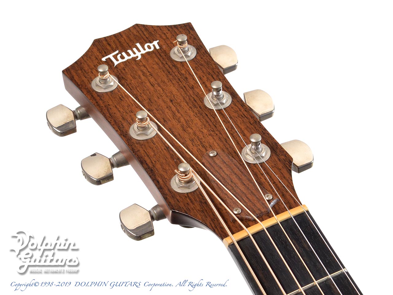 TAYLOR 324ce-K FLTD|ドルフィンギターズ