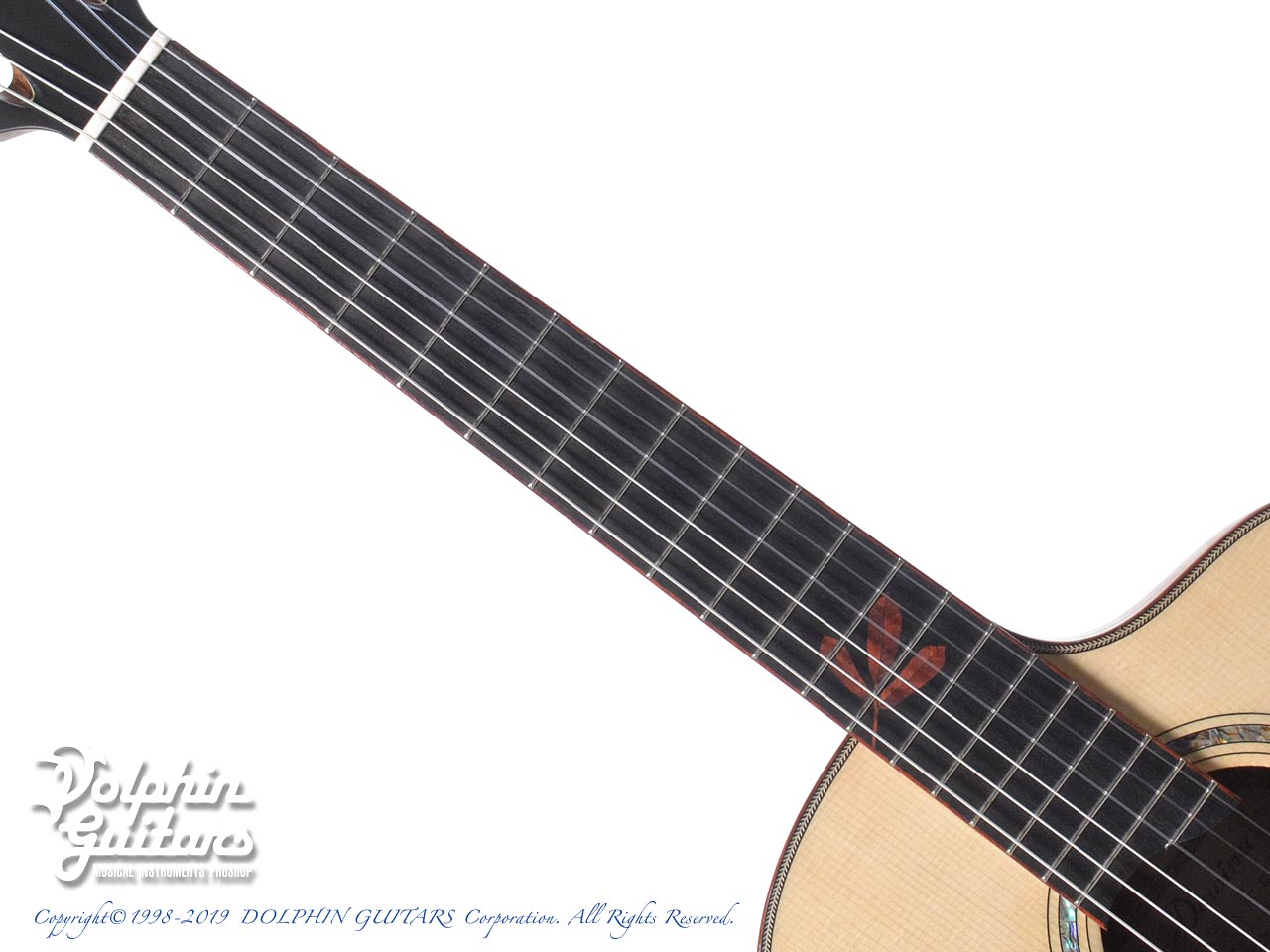 Dowina PADAUK-HCE-DS w/Anthem|ドルフィンギターズ
