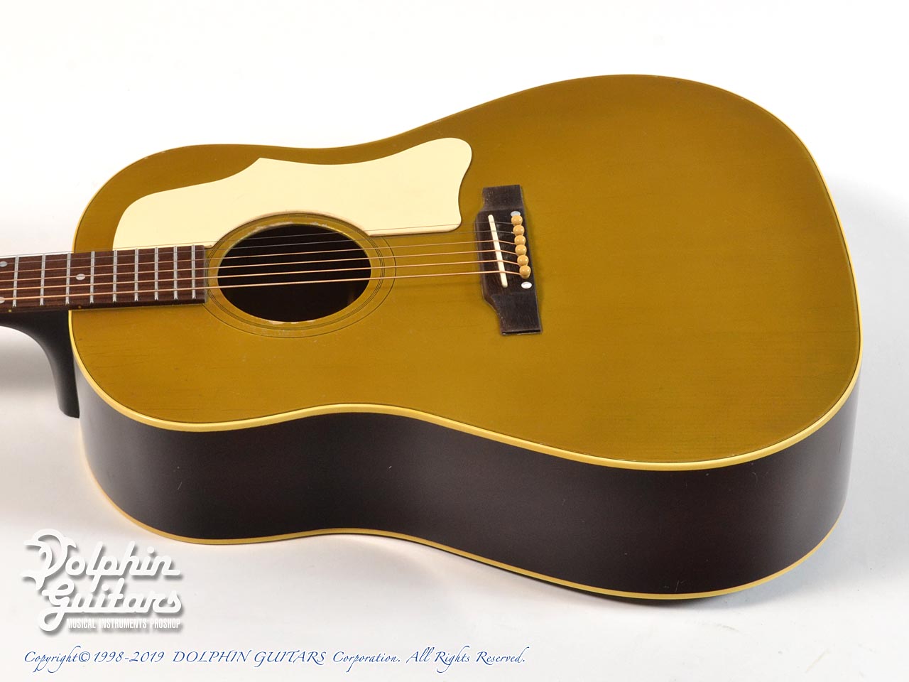 SWITCH RSD-45 43mm Relic Gold|ドルフィンギターズ