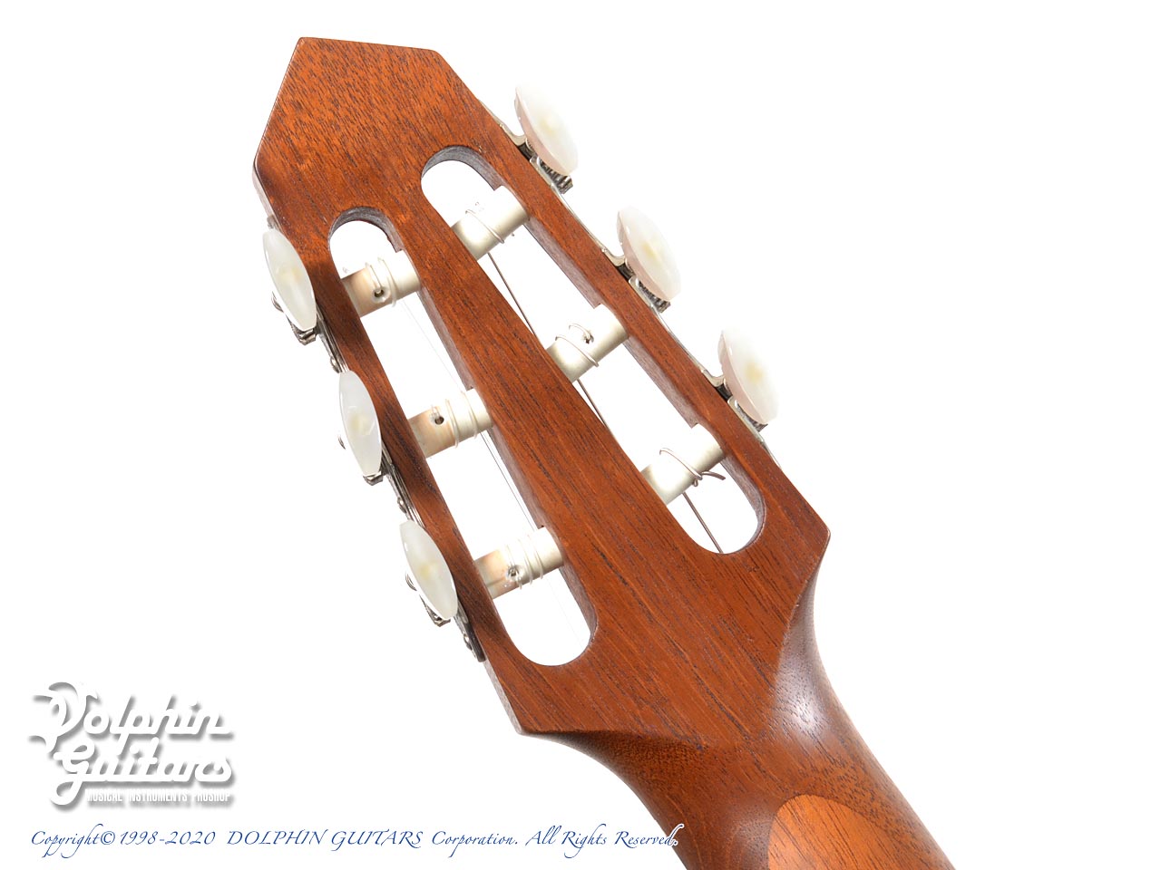 RICK TURNER Renaissance Nylon String RN-6|ドルフィンギターズ