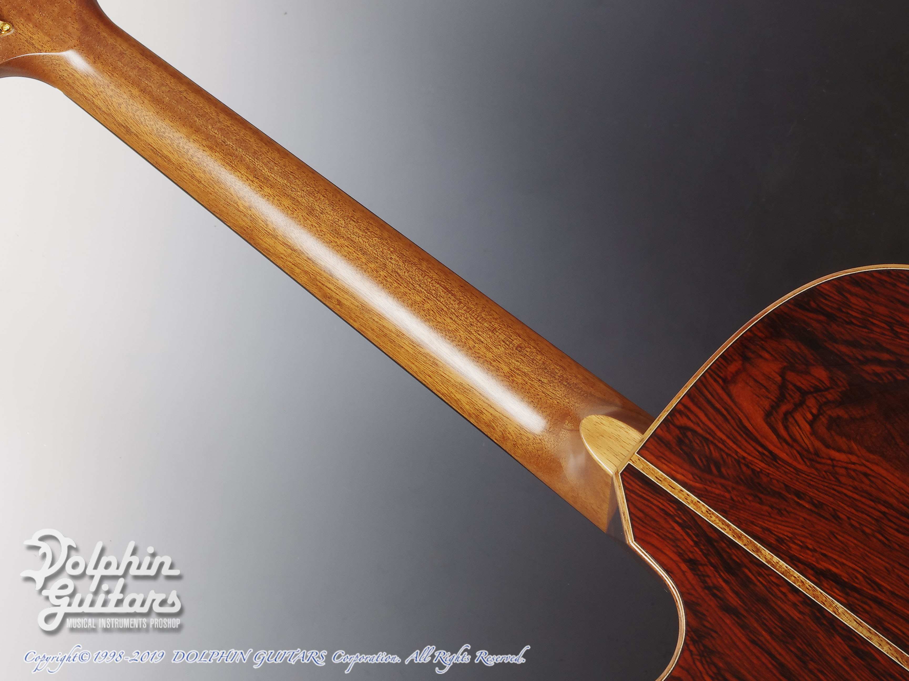 ASTURIAS Grand Solo Premio LTD Cocobolo|ドルフィンギターズ