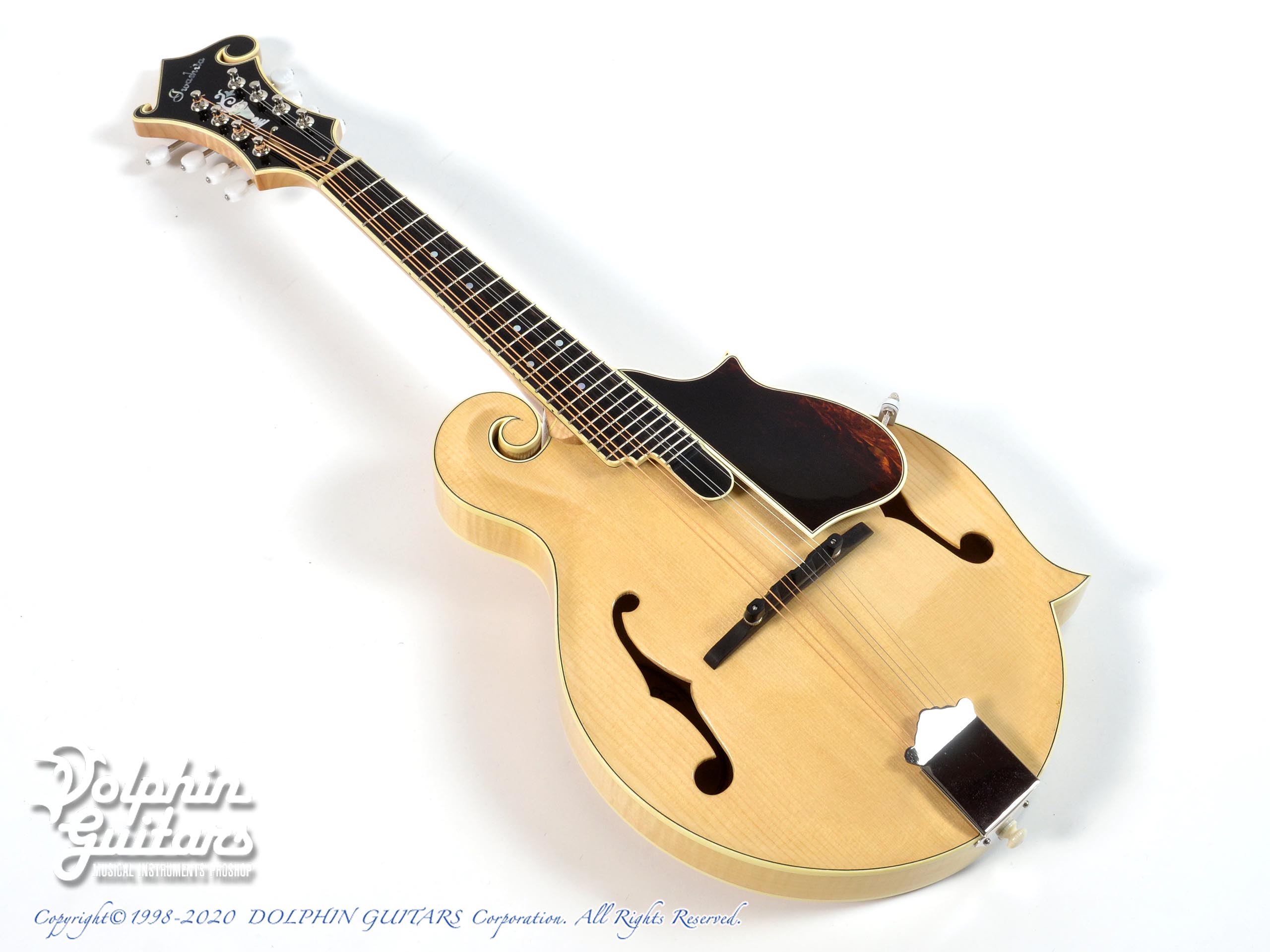 IWASHITA STRING INSTRUMENTS F5-Type |ドルフィンギターズ