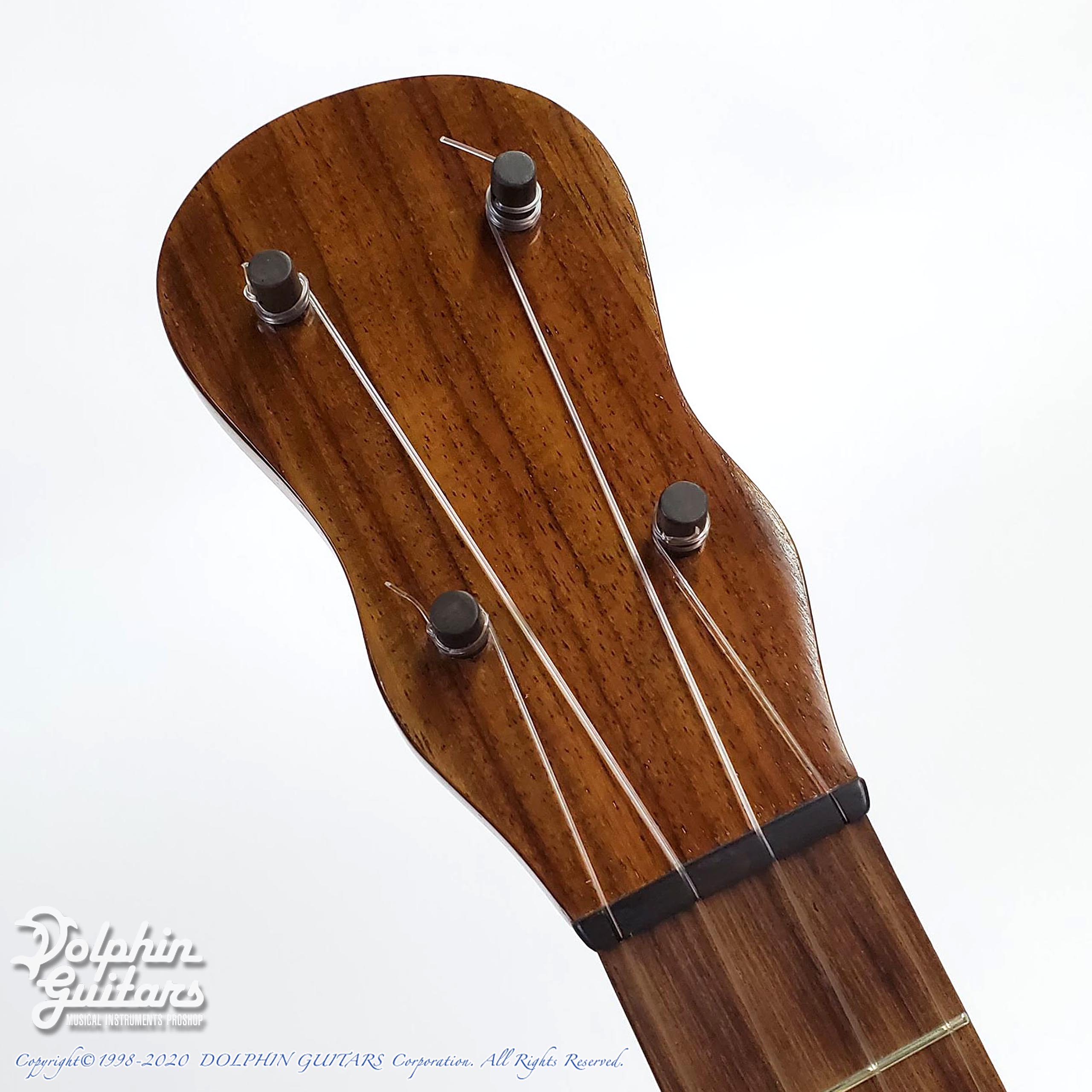 楽器 弦楽器、ギター TAKESHI SAITO（KEN弦楽器工房） Panormo Type Tenor|ドルフィンギターズ