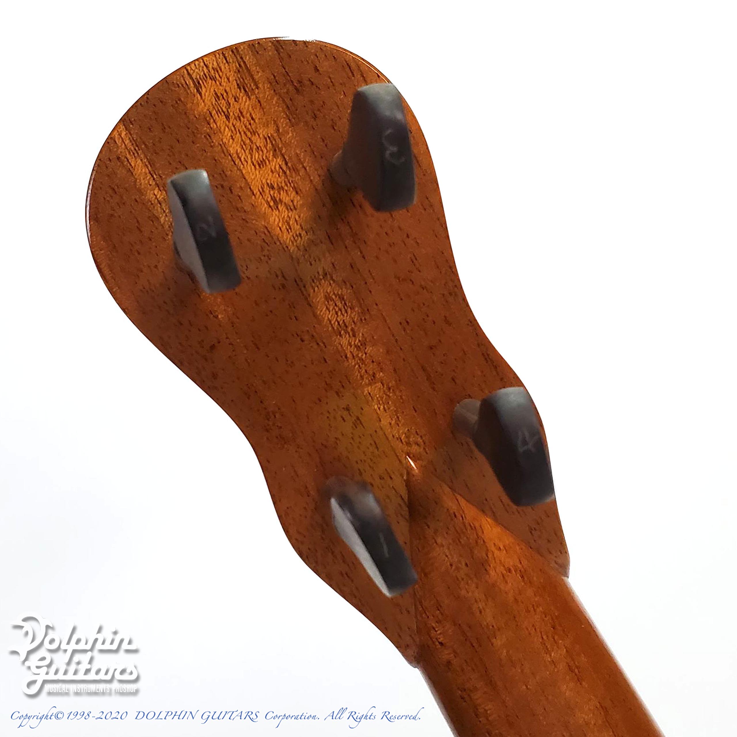 TAKESHI SAITO(KEN弦楽器工房) Panormo Type Tenor|ドルフィンギターズ TAKESHI SAITO(KEN弦楽器工房) Panormo Type Tenor|ドルフィンギターズ