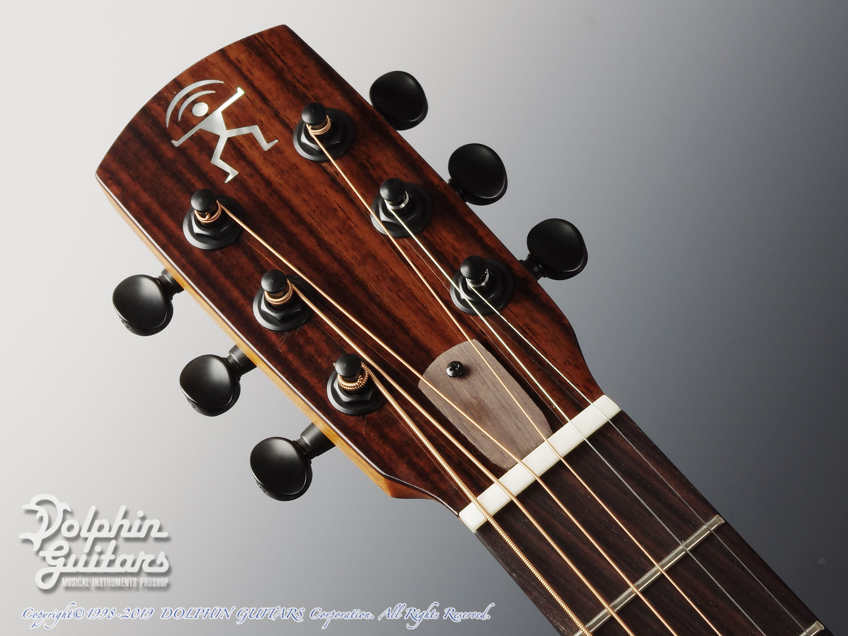 aNueNue Bird aNN-M12|ドルフィンギターズ