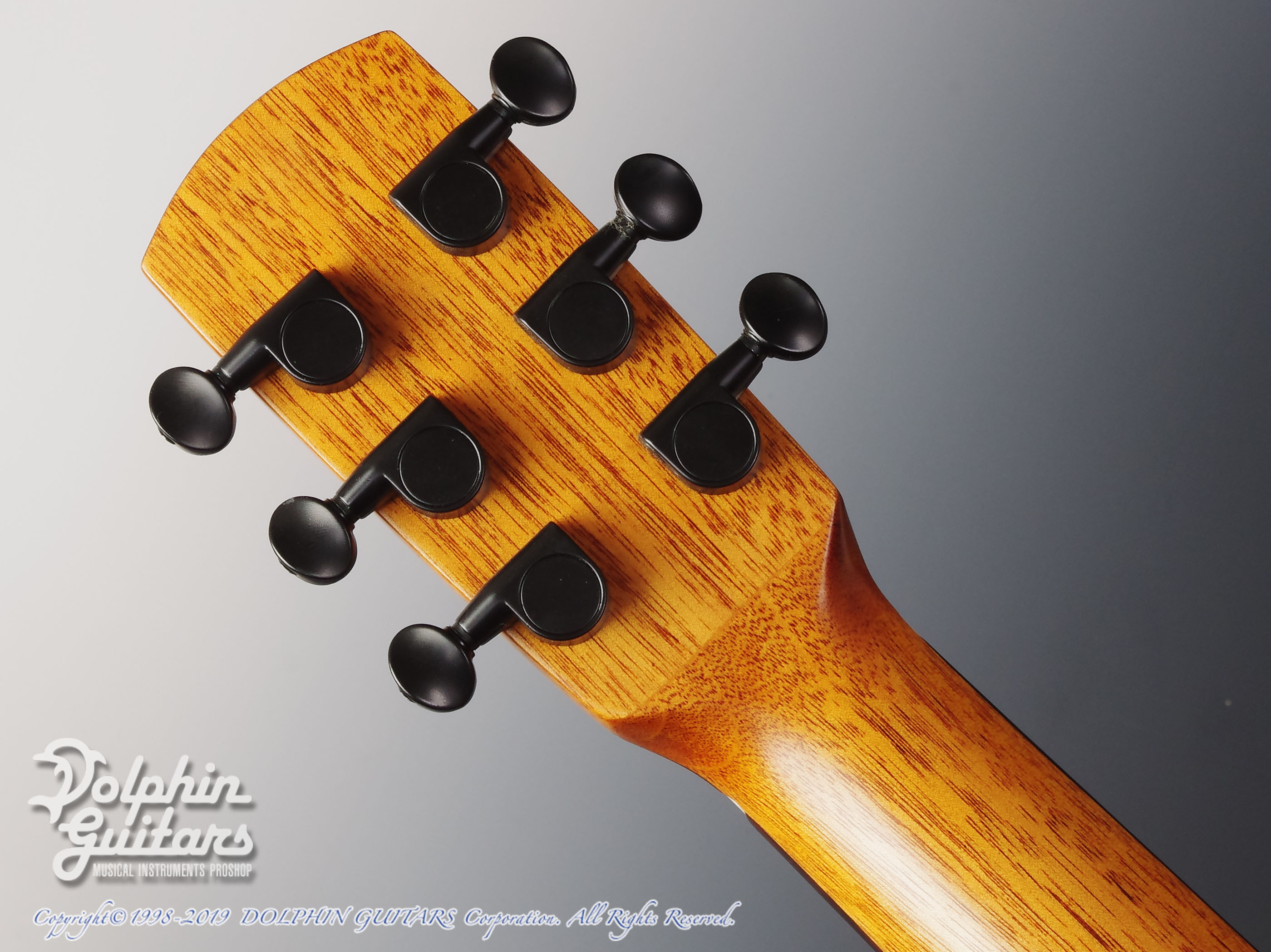 aNueNue Bird aNN-M12|ドルフィンギターズ