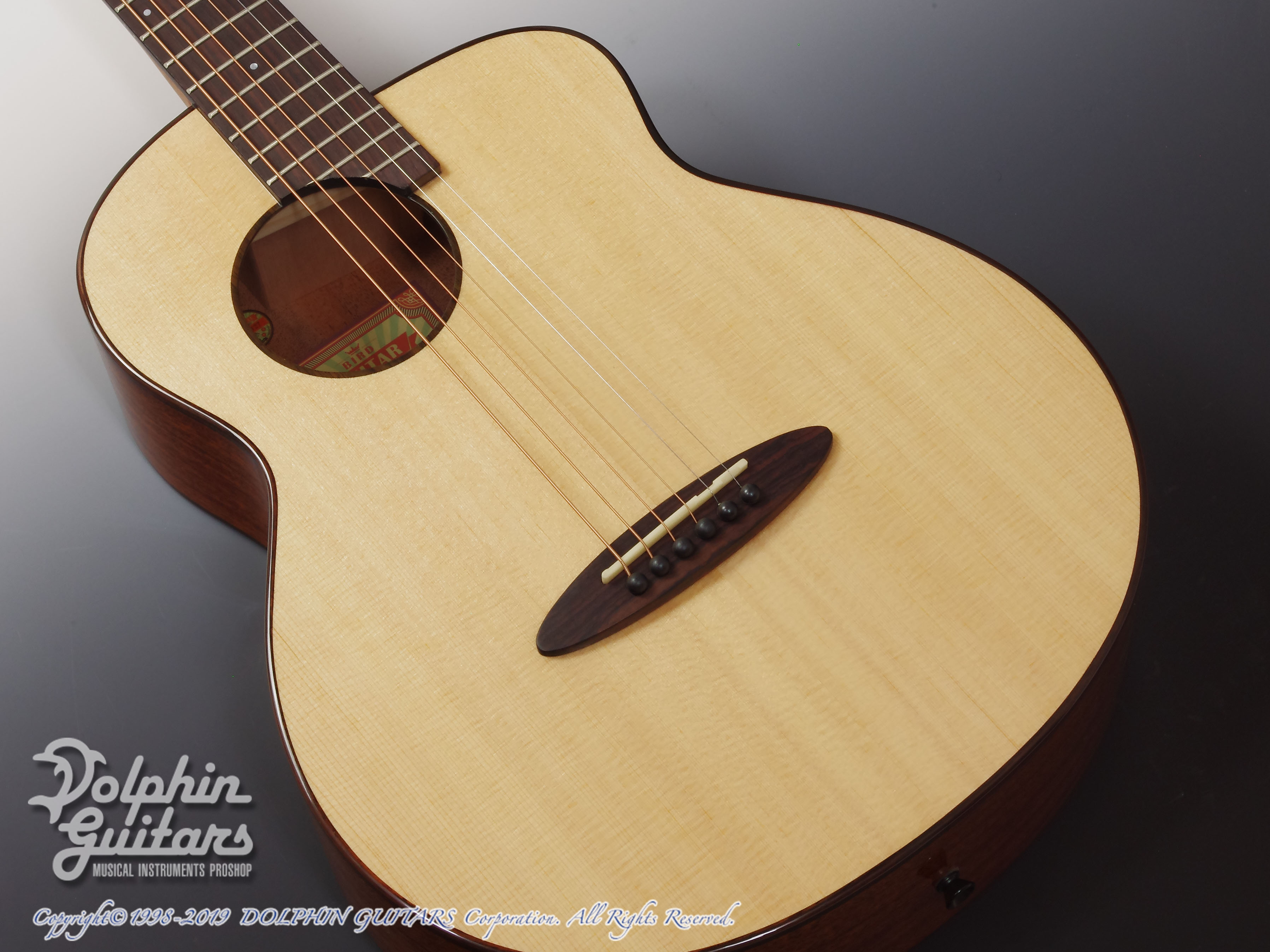 aNueNue Bird aNN-M12|ドルフィンギターズ