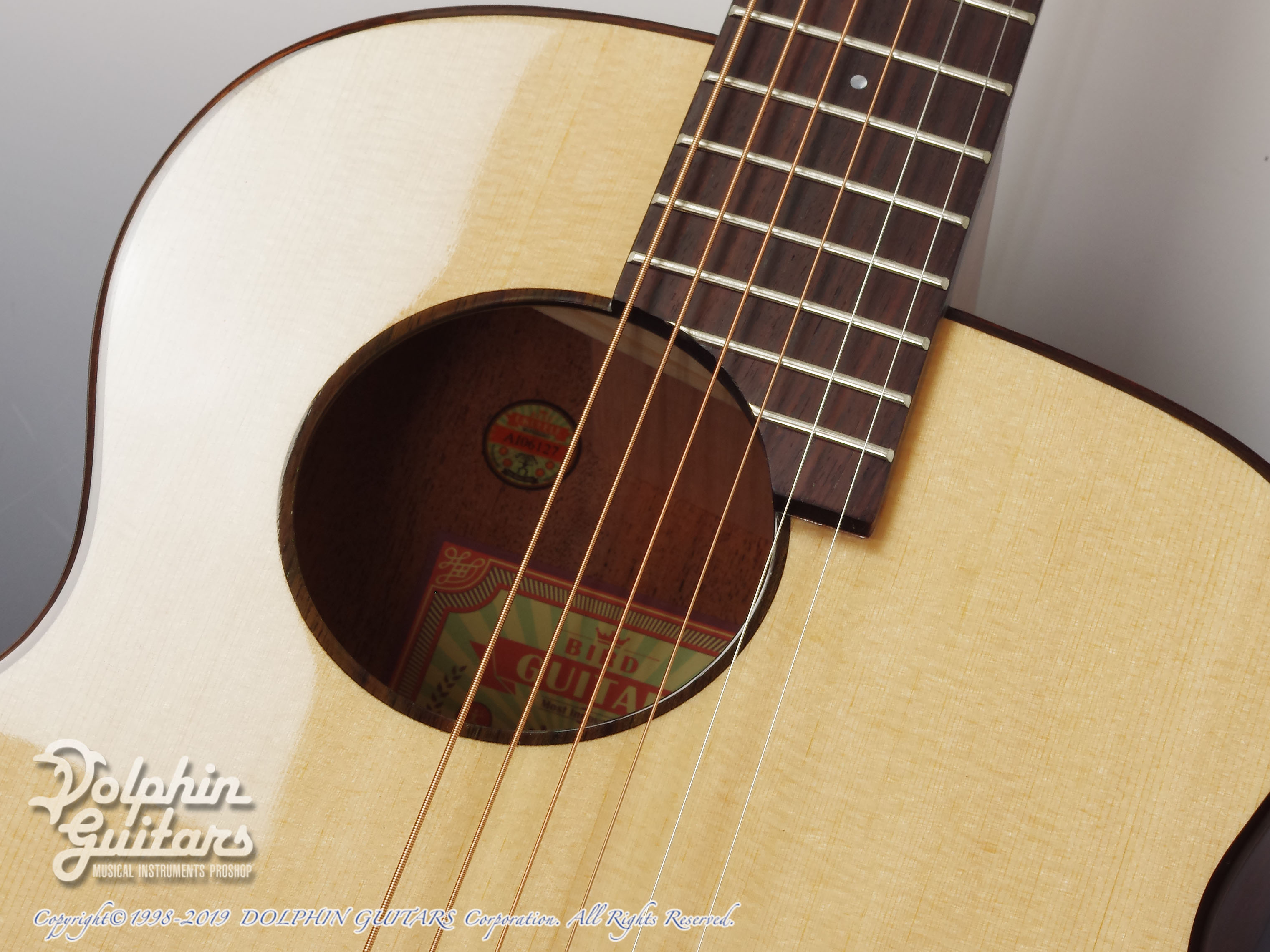 aNueNue Bird aNN-M12|ドルフィンギターズ