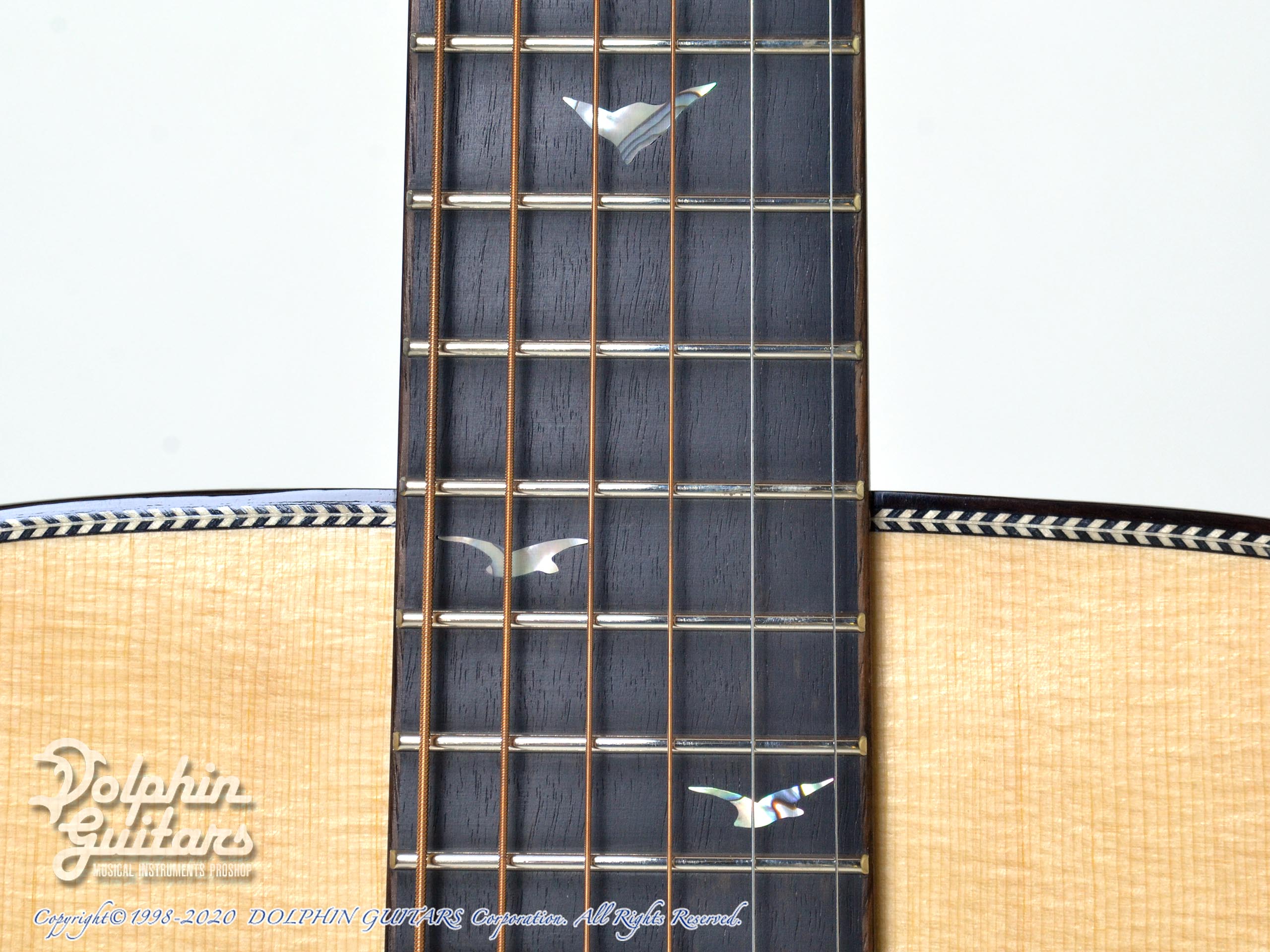 Greven Guitars Japan Oshio-D HR (Honduras Rosewood)|ドルフィンギターズ