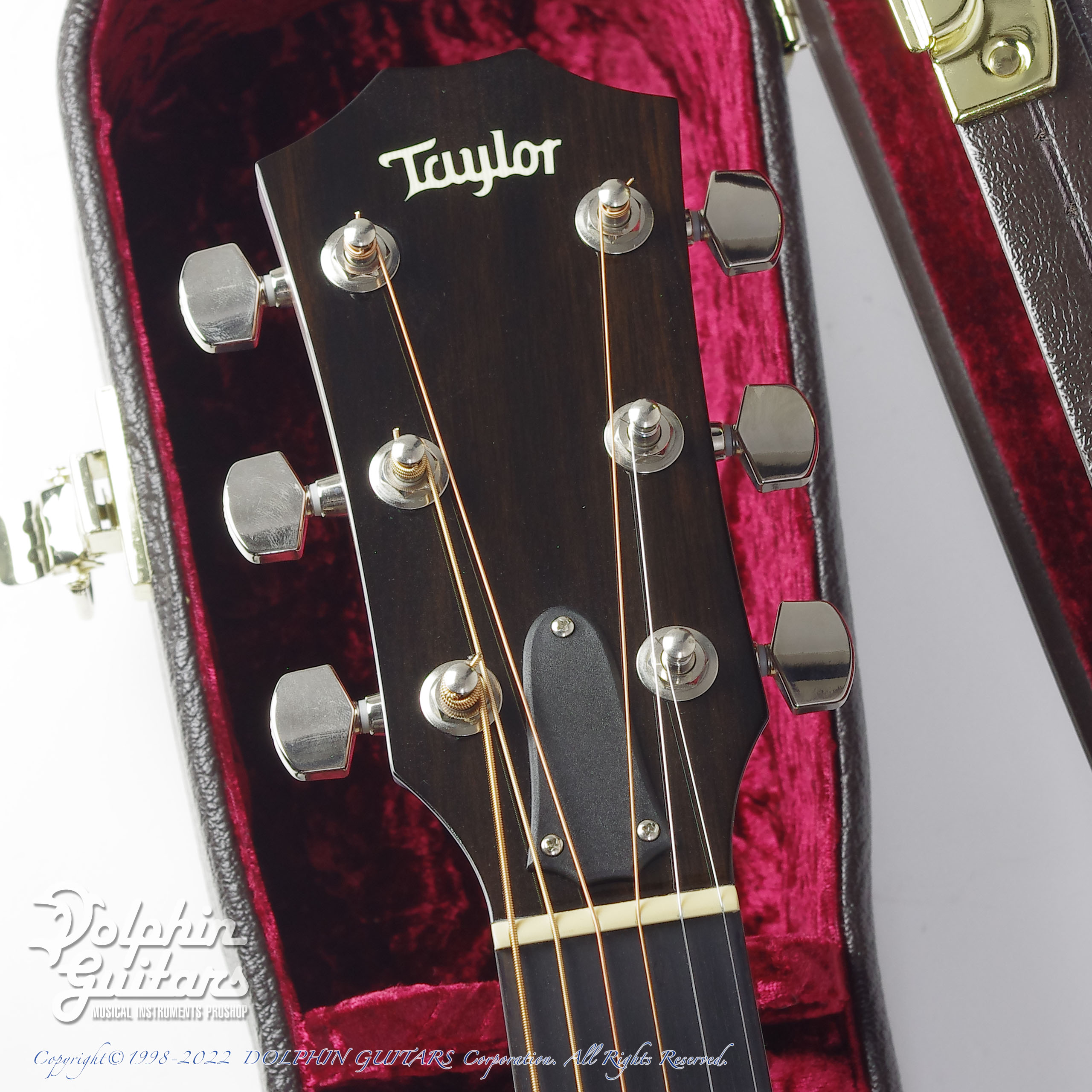 TAYLOR 512ce|ドルフィンギターズ