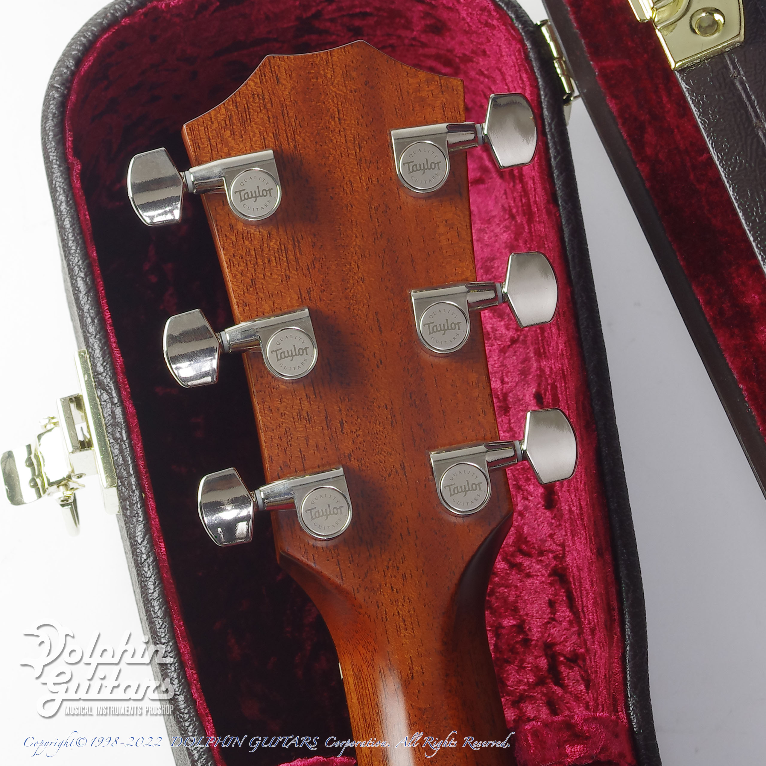 TAYLOR 512ce|ドルフィンギターズ