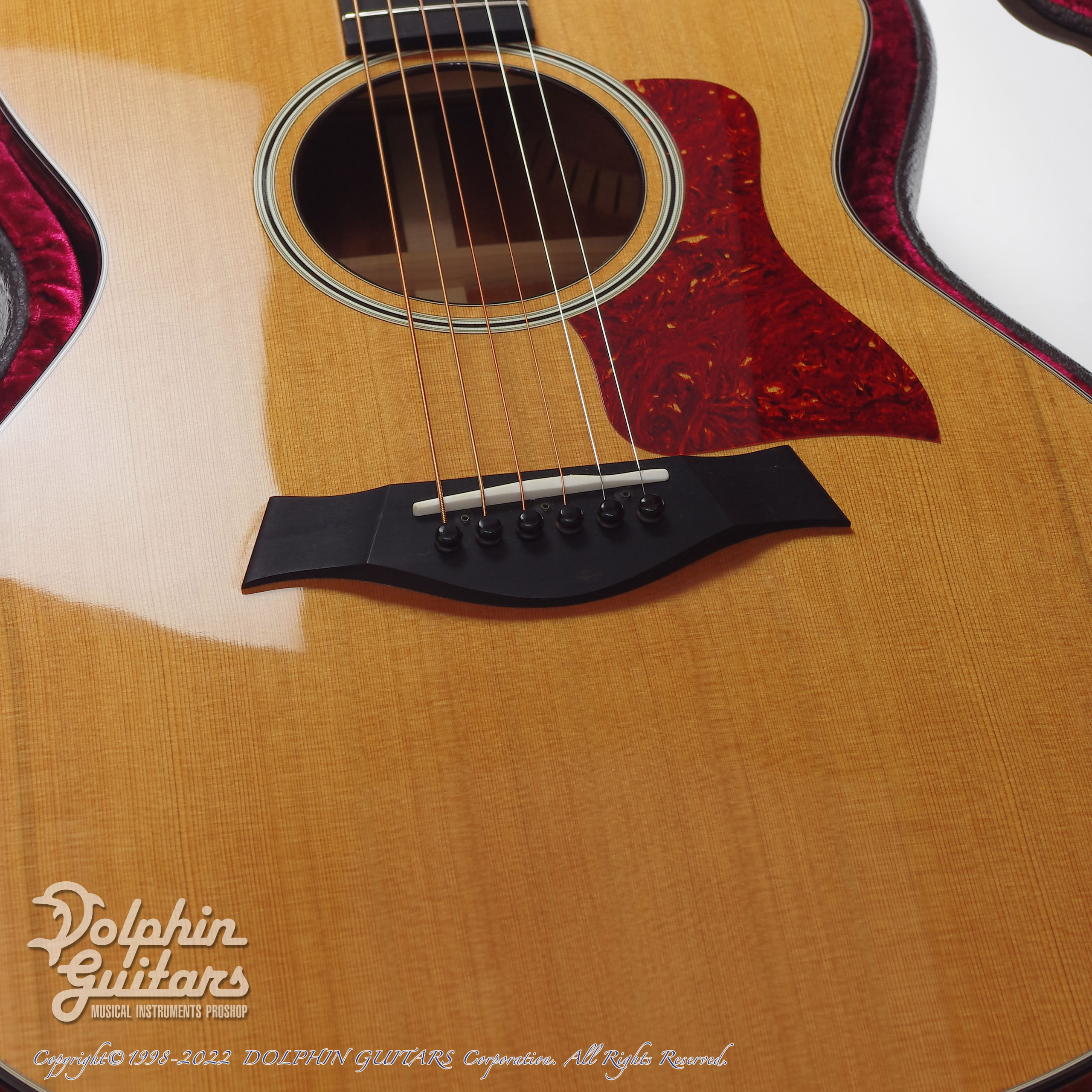 TAYLOR 512ce|ドルフィンギターズ
