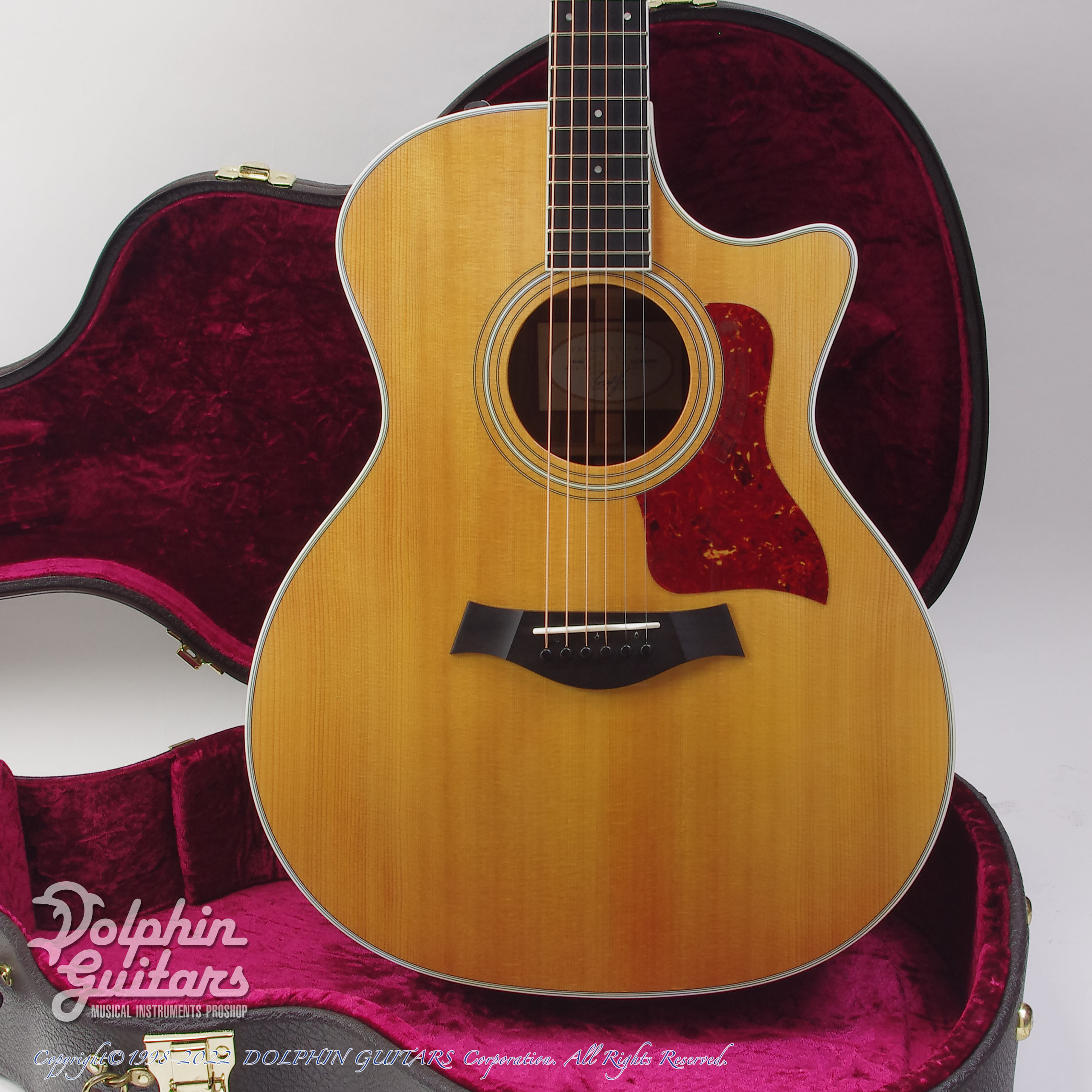 TAYLOR 414ce|ドルフィンギターズ