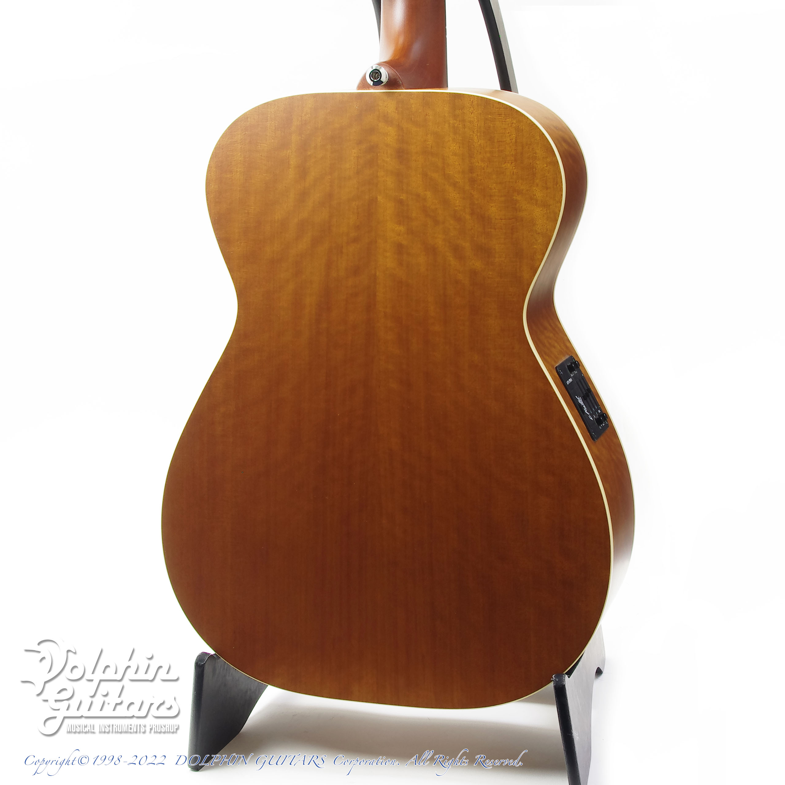 MATON Custom Shop EBG808 Tommy Personal|ドルフィンギターズ