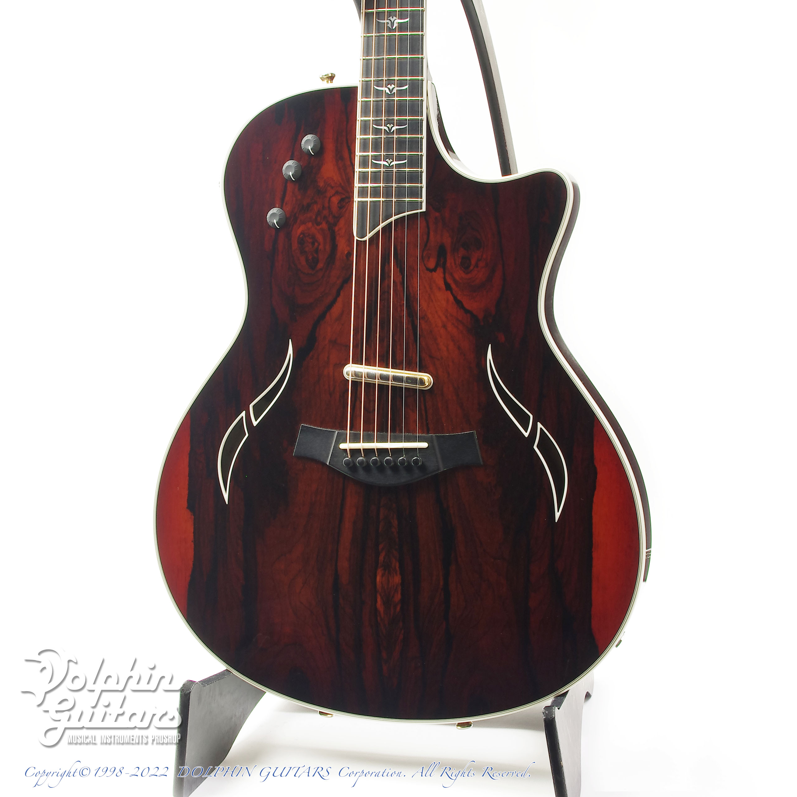 TAYLOR T5-C3 Cocobolo|ドルフィンギターズ