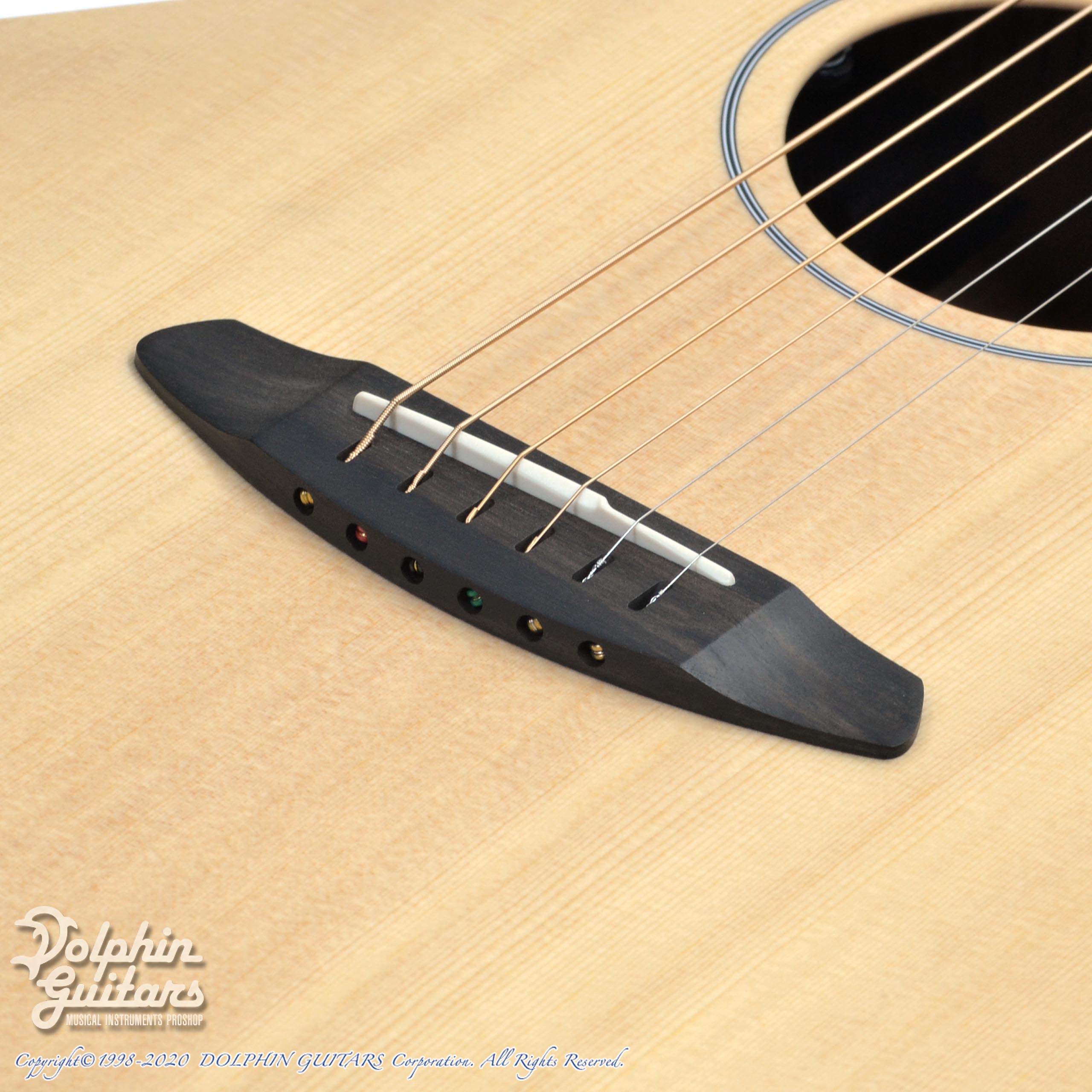 Breedlove USA Concert Sun Light-E|ドルフィンギターズ