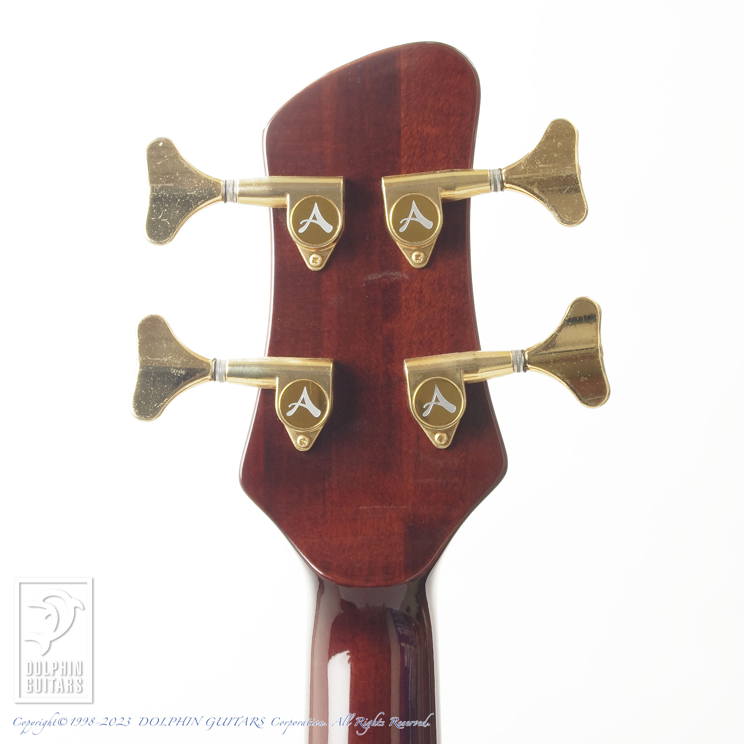 3SDM65 Athlete アコースティック フレットレスベース ATHLETE AX-5FLL (アコースティック5弦ベース・フレットレス