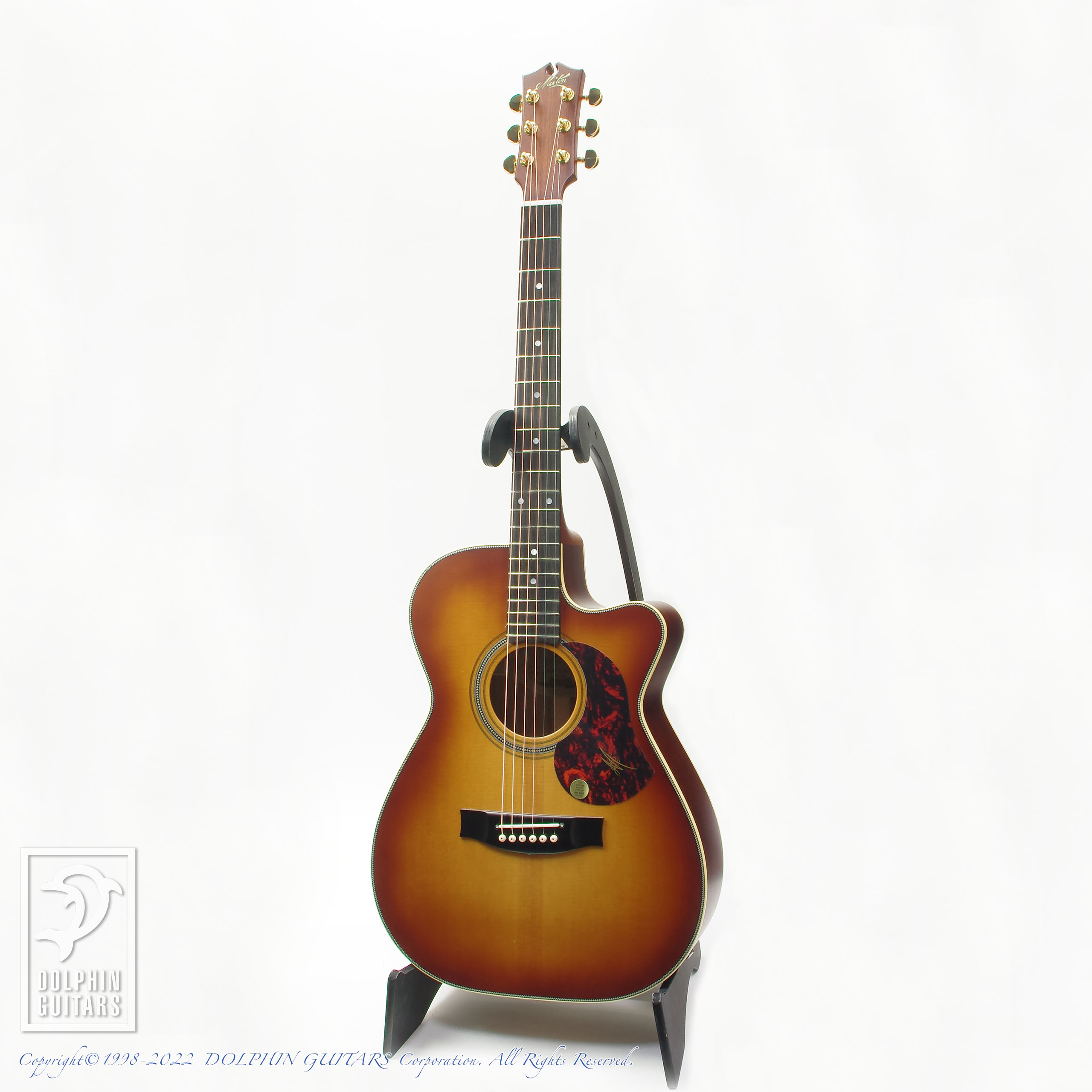 MATON EBG808C Nashville |ドルフィンギターズ