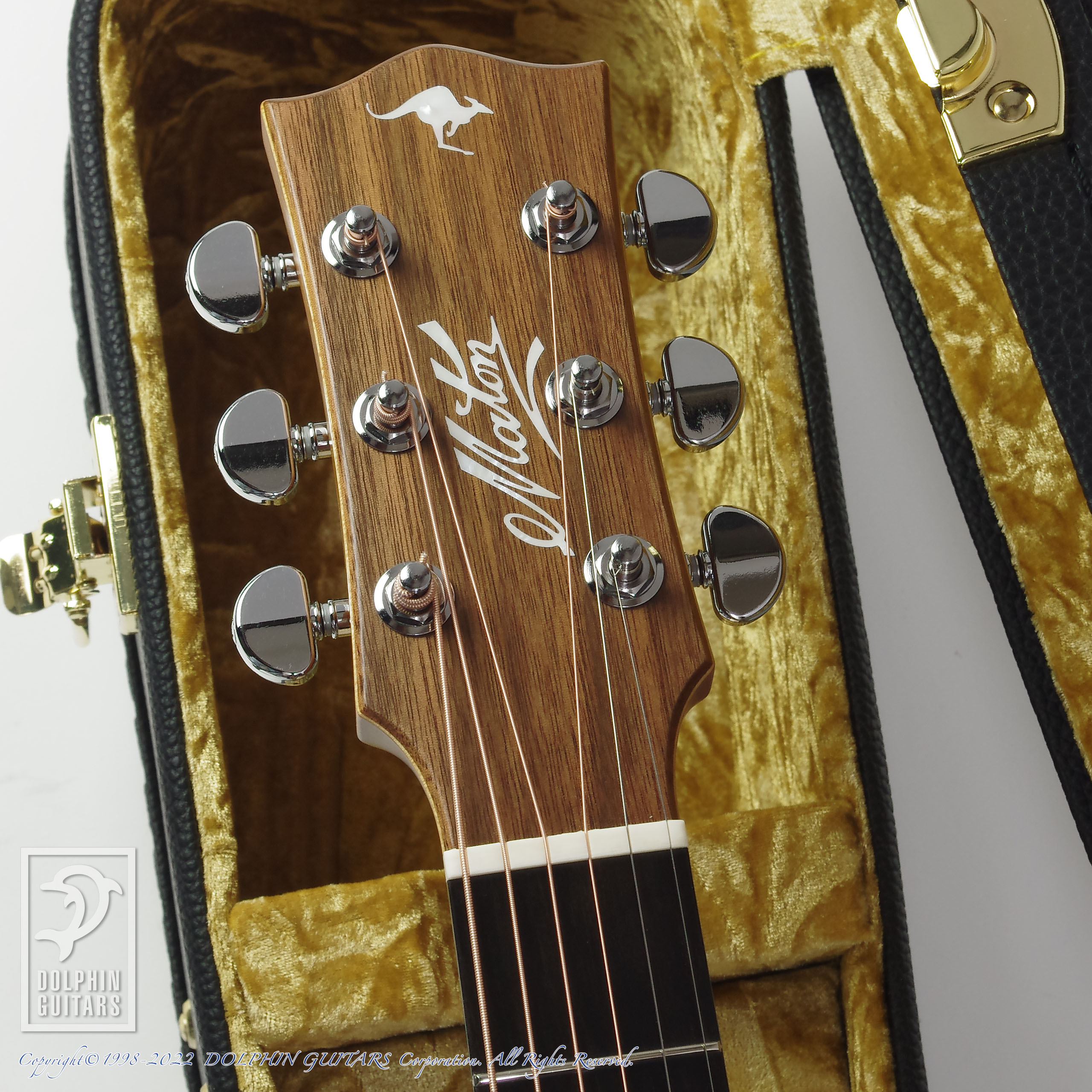 MATON EBG808TE (Tommy Emmanuel Signature)|ドルフィンギターズ