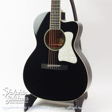 C-10 Deluxe Cutaway Jet Black & Doghair