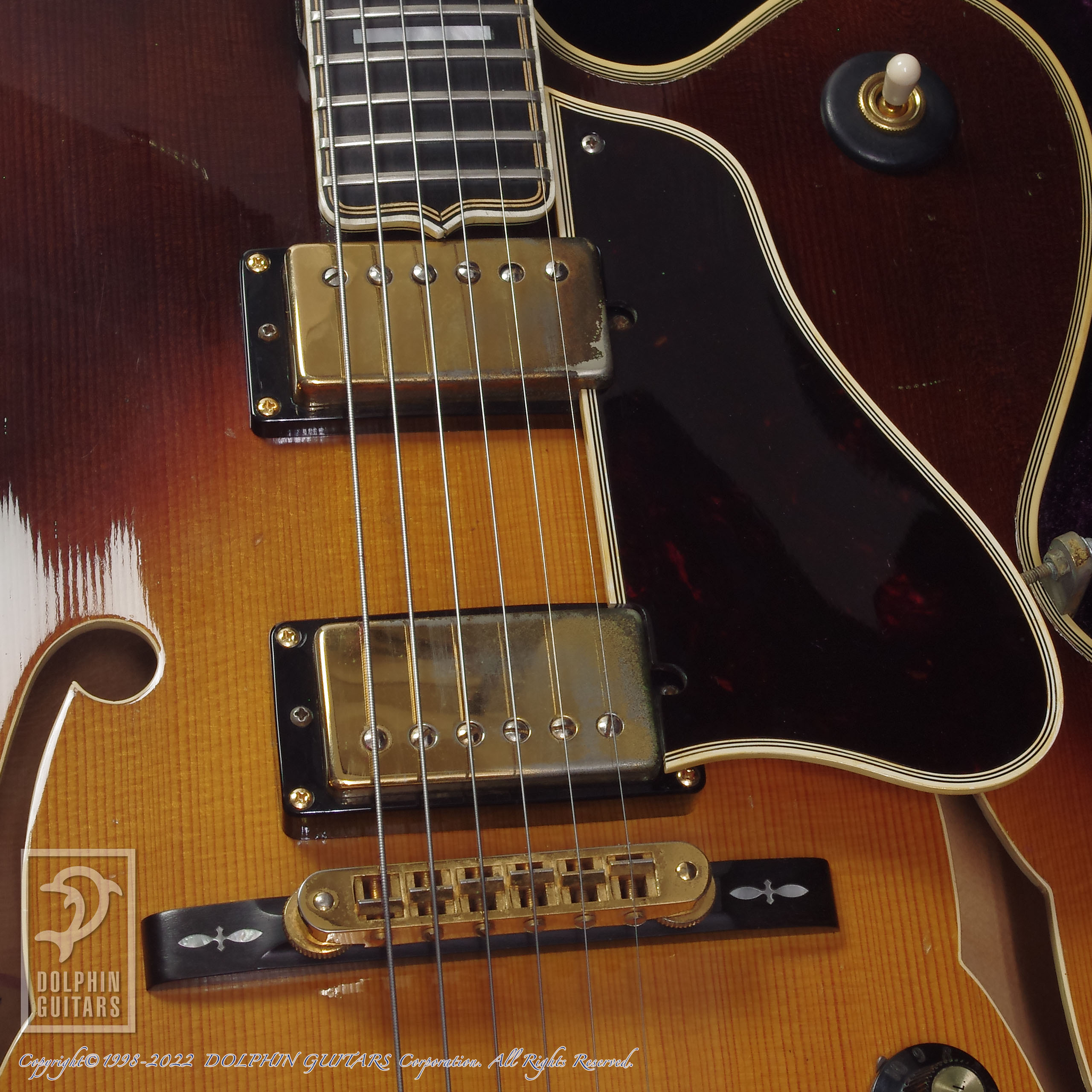 Gibson Byrdland (Thinline Archtop)|ドルフィンギターズ