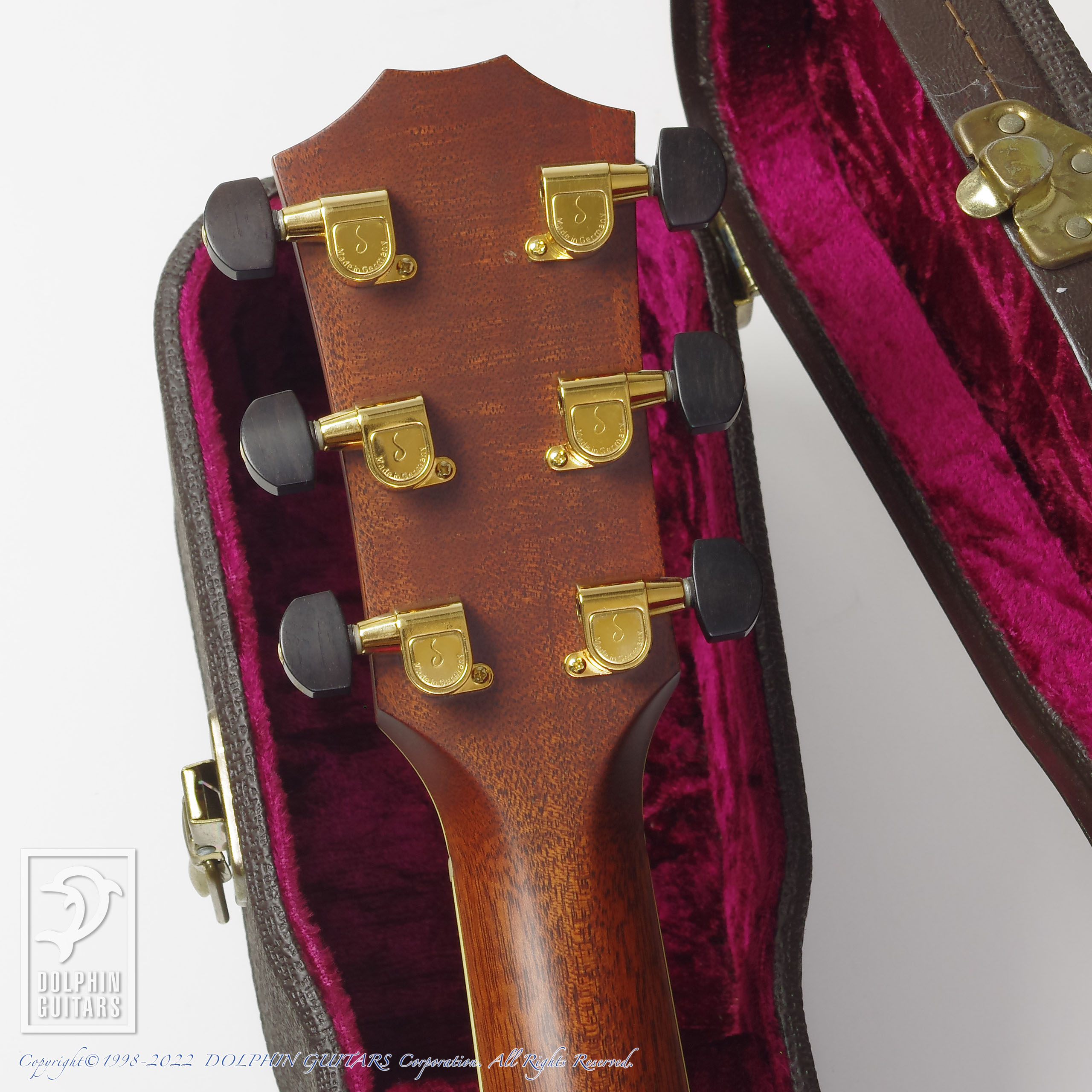 TAYLOR PS-15 (Jacaranda)|ドルフィンギターズ