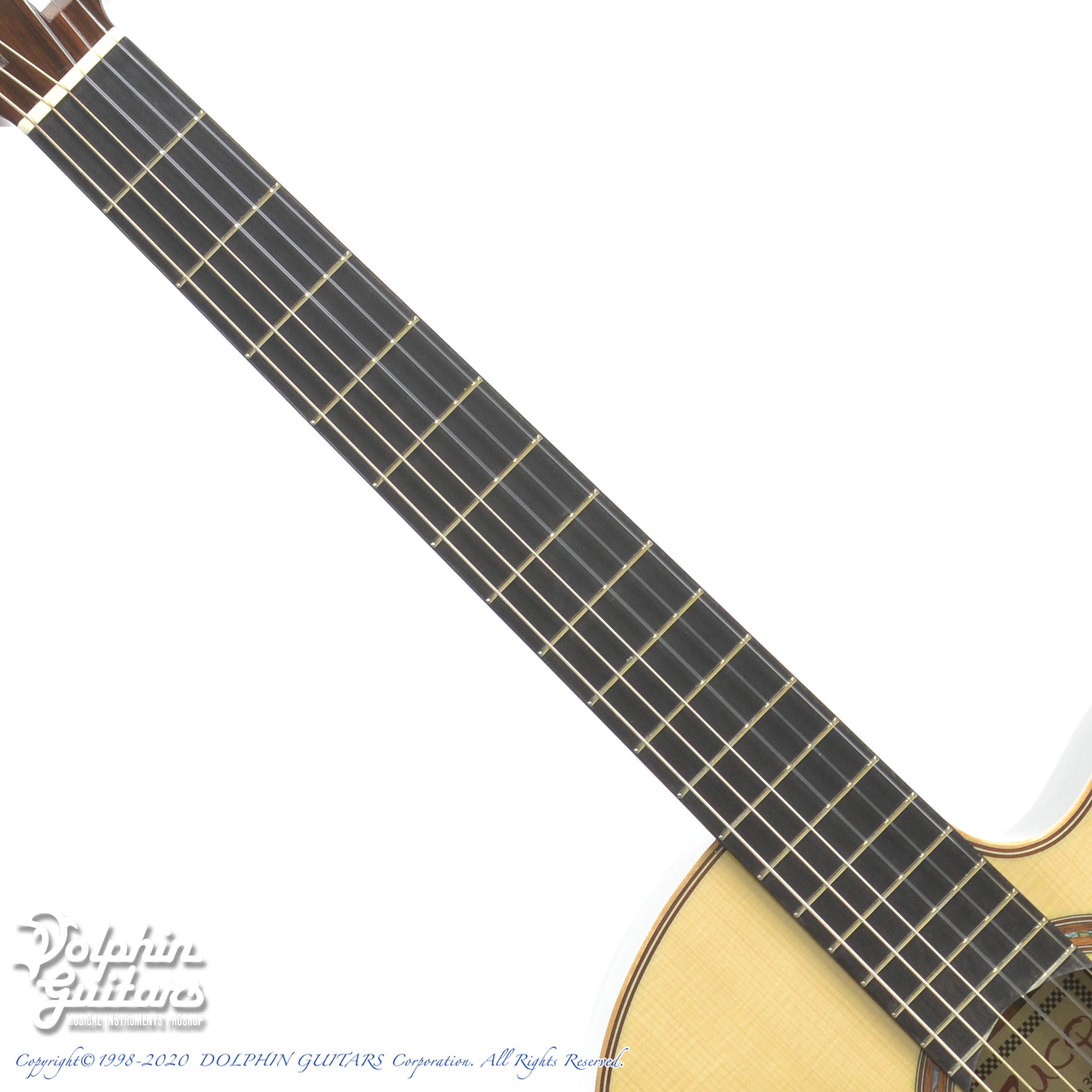 ギター RT333 ZUCQ Giulietta 305 ll type R|ドルフィンギターズ