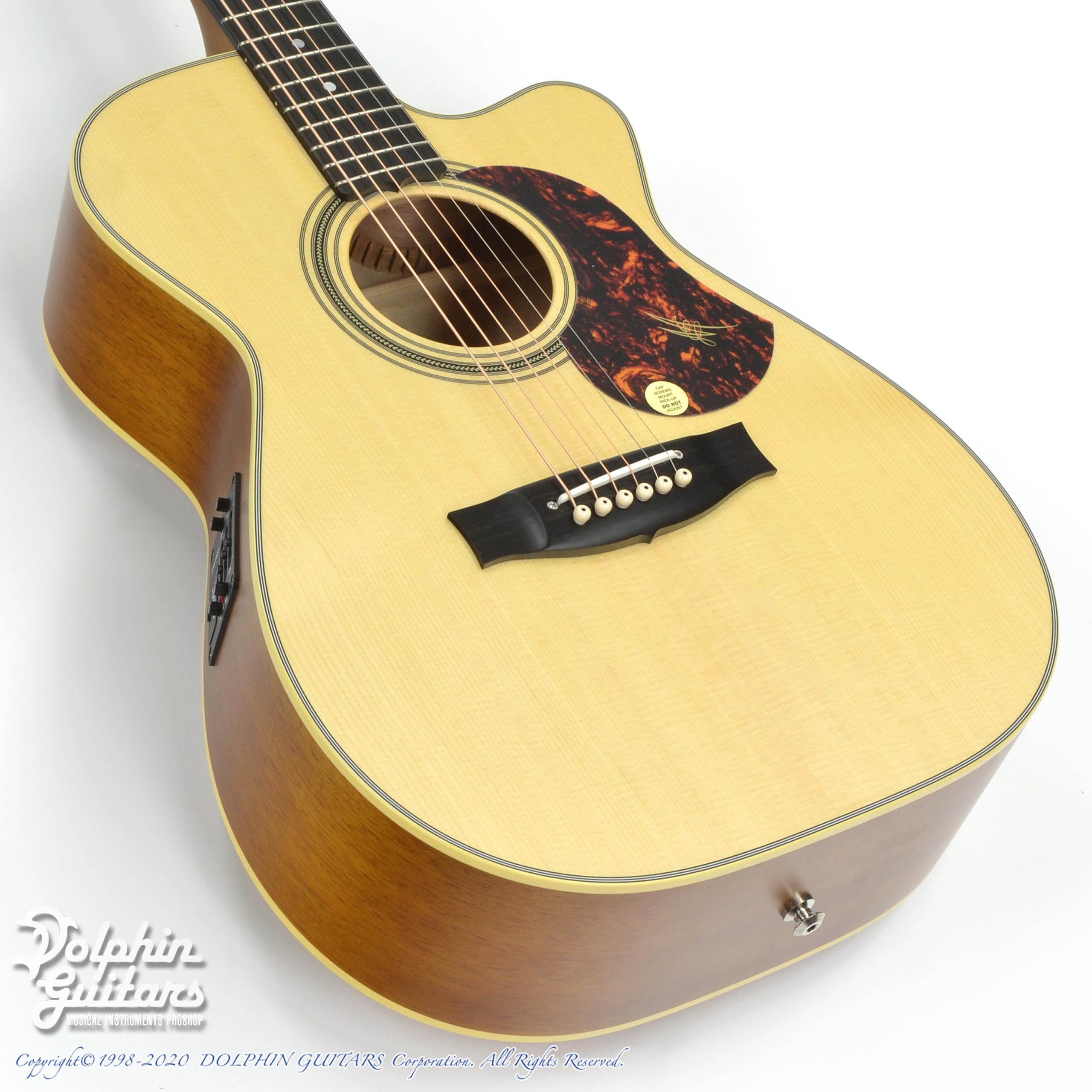 MATON EBG808CTE (Tommy Emmanuel Signature)|ドルフィンギターズ