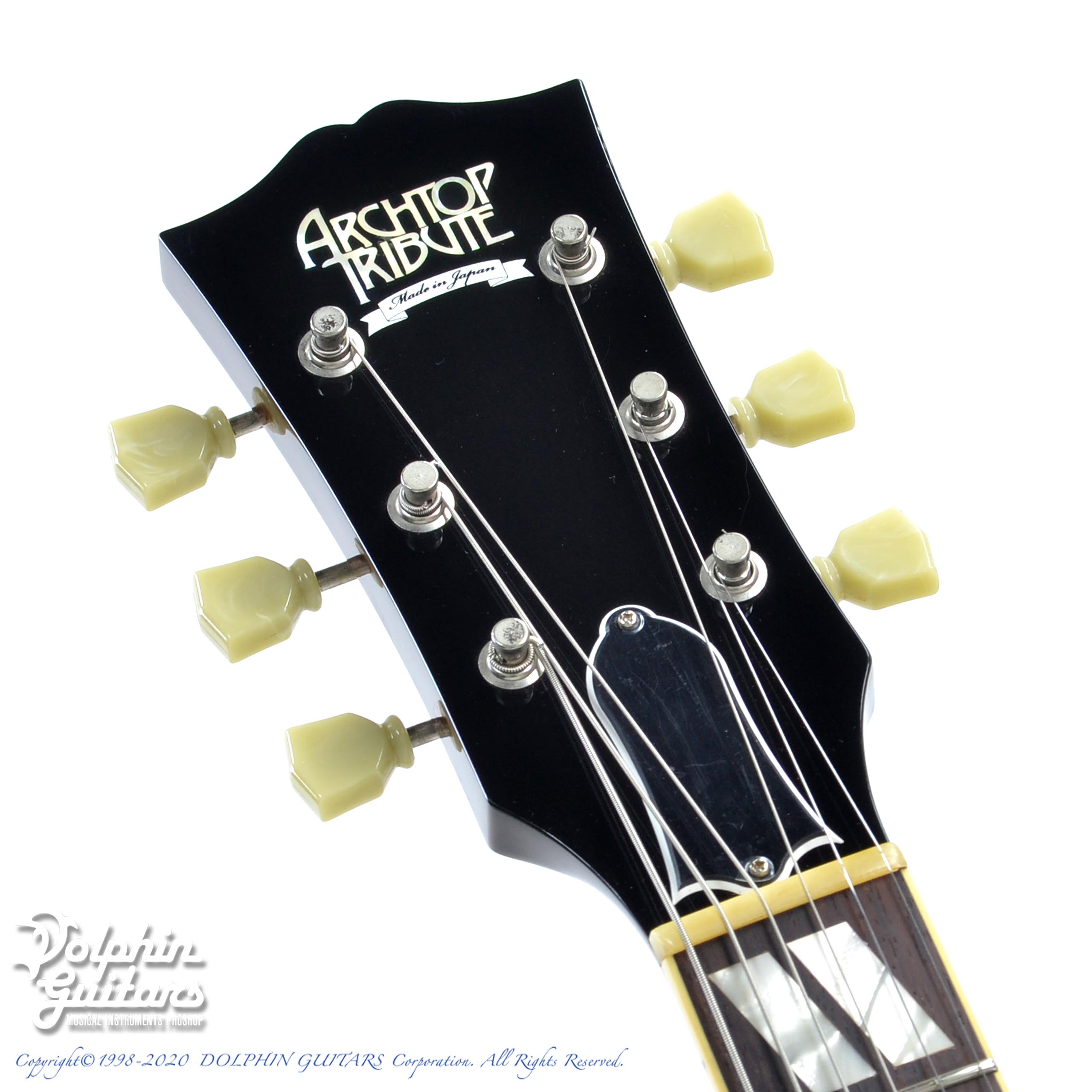 50%OFF!】 Archtop Tribute AT102 sushitai.com.mx