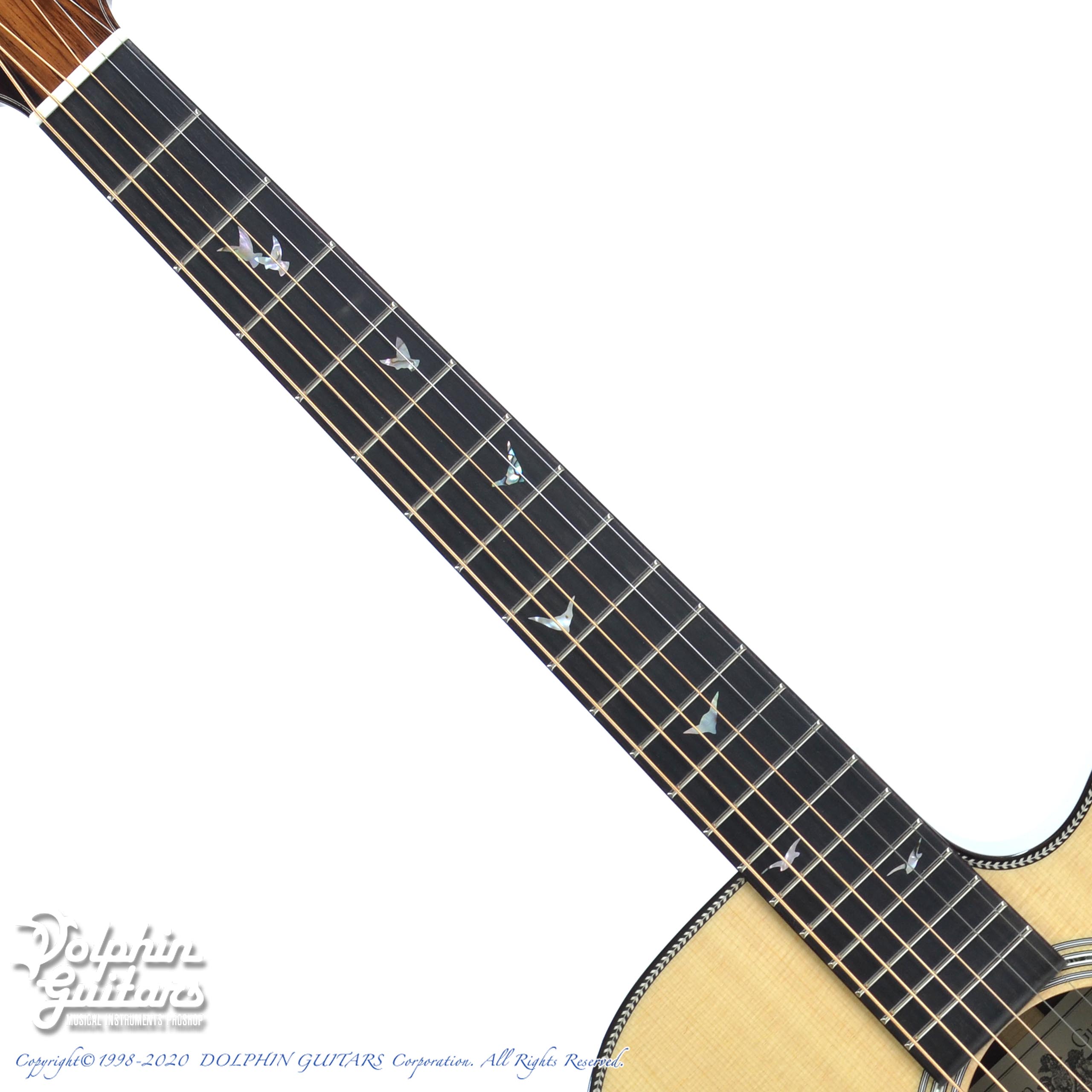 Greven Japan Oshio-DC HR 押尾コータロー Greven Guitars Japan Oshio-DC HR (Honduras Rosewood)|ドルフィン