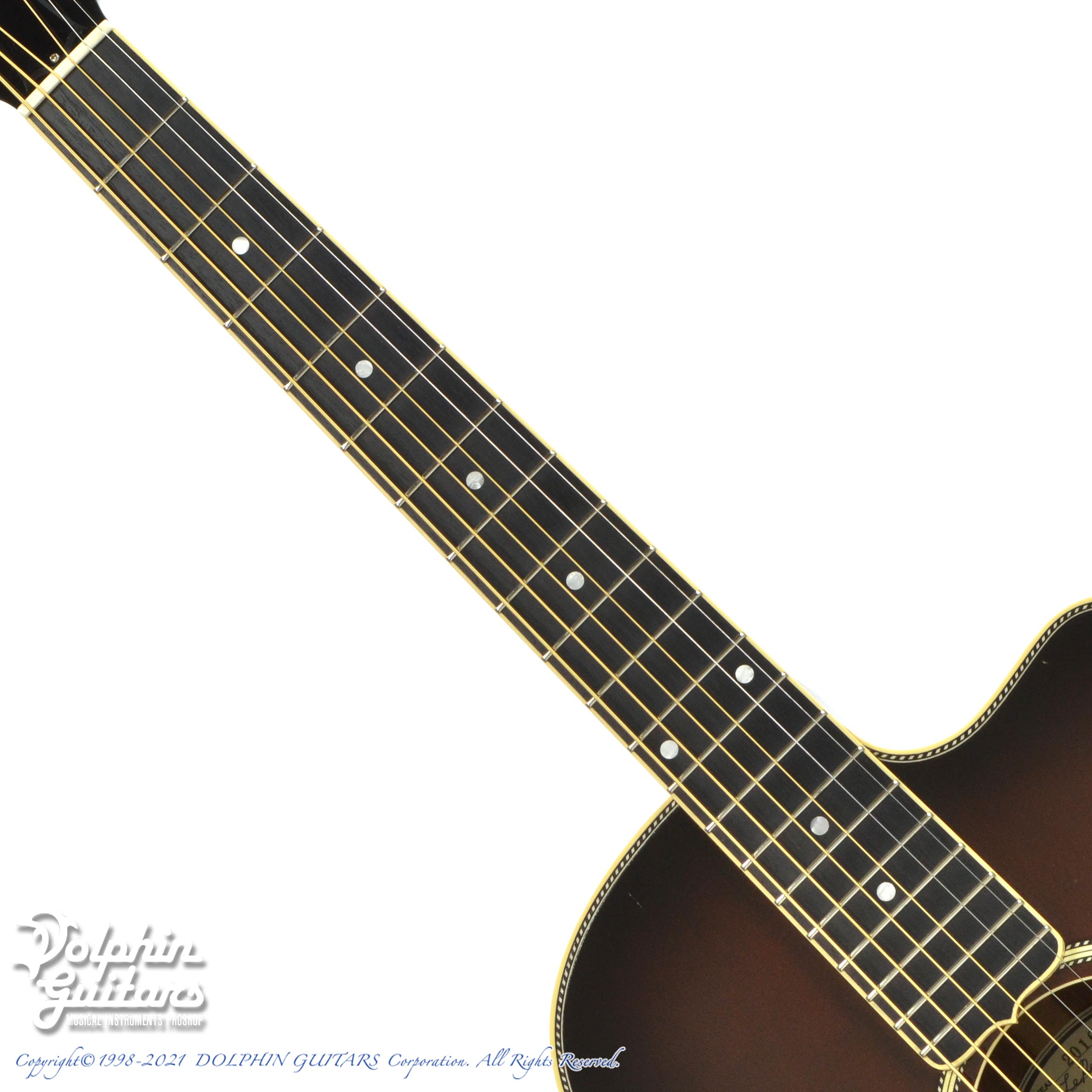 Stringphonic LeRoy|ドルフィンギターズ