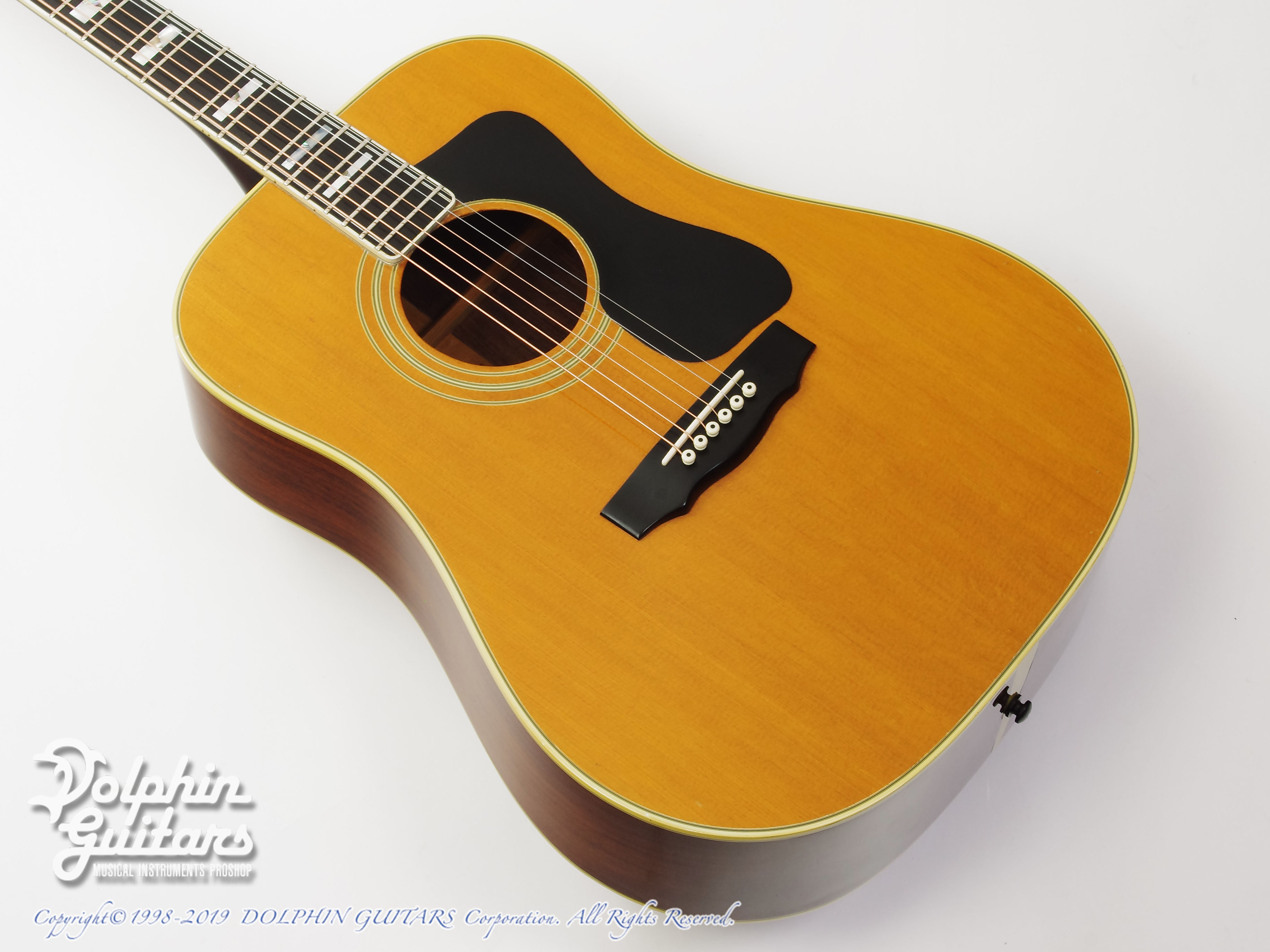GUILD D-55|ドルフィンギターズ