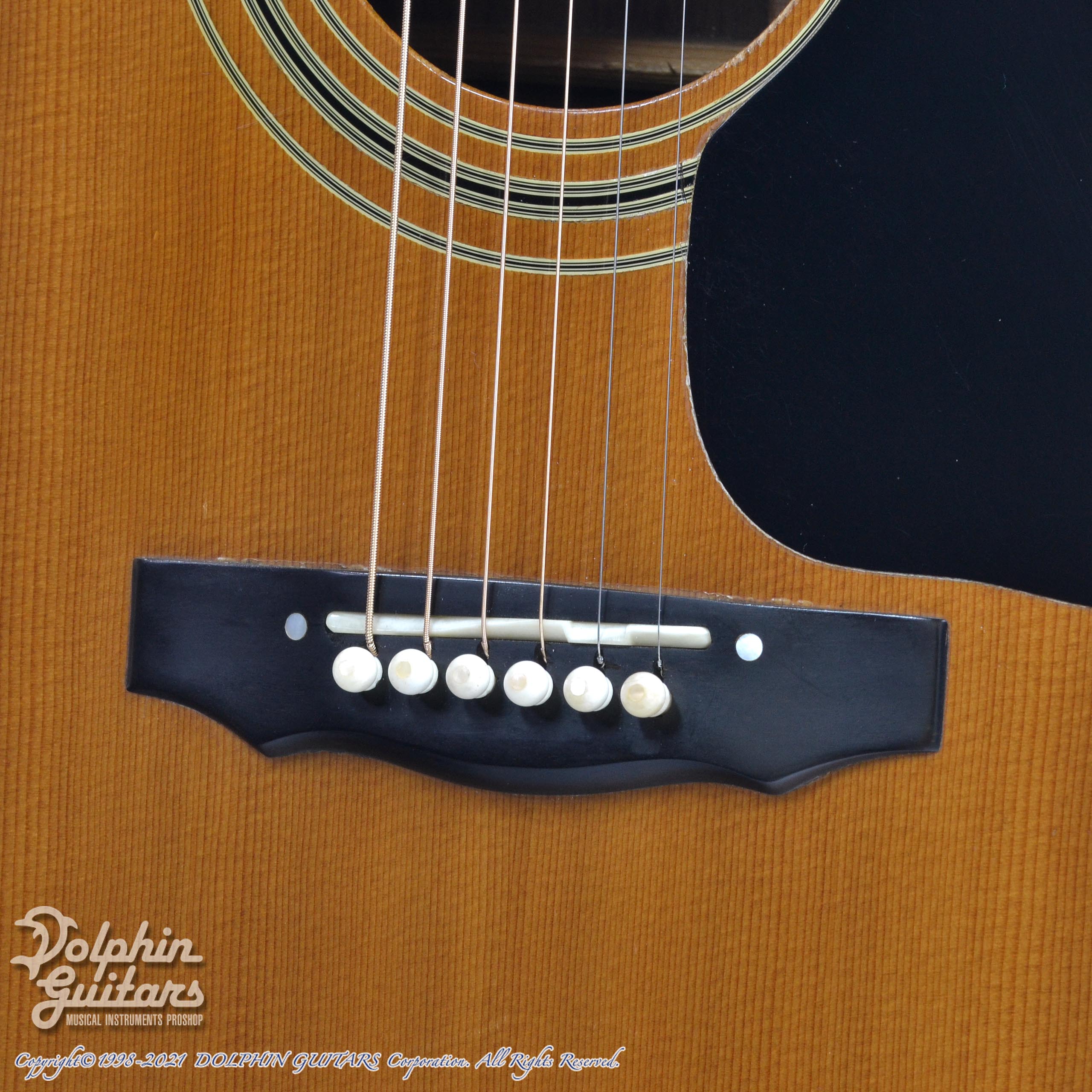 GUILD F-50R NT|ドルフィンギターズ