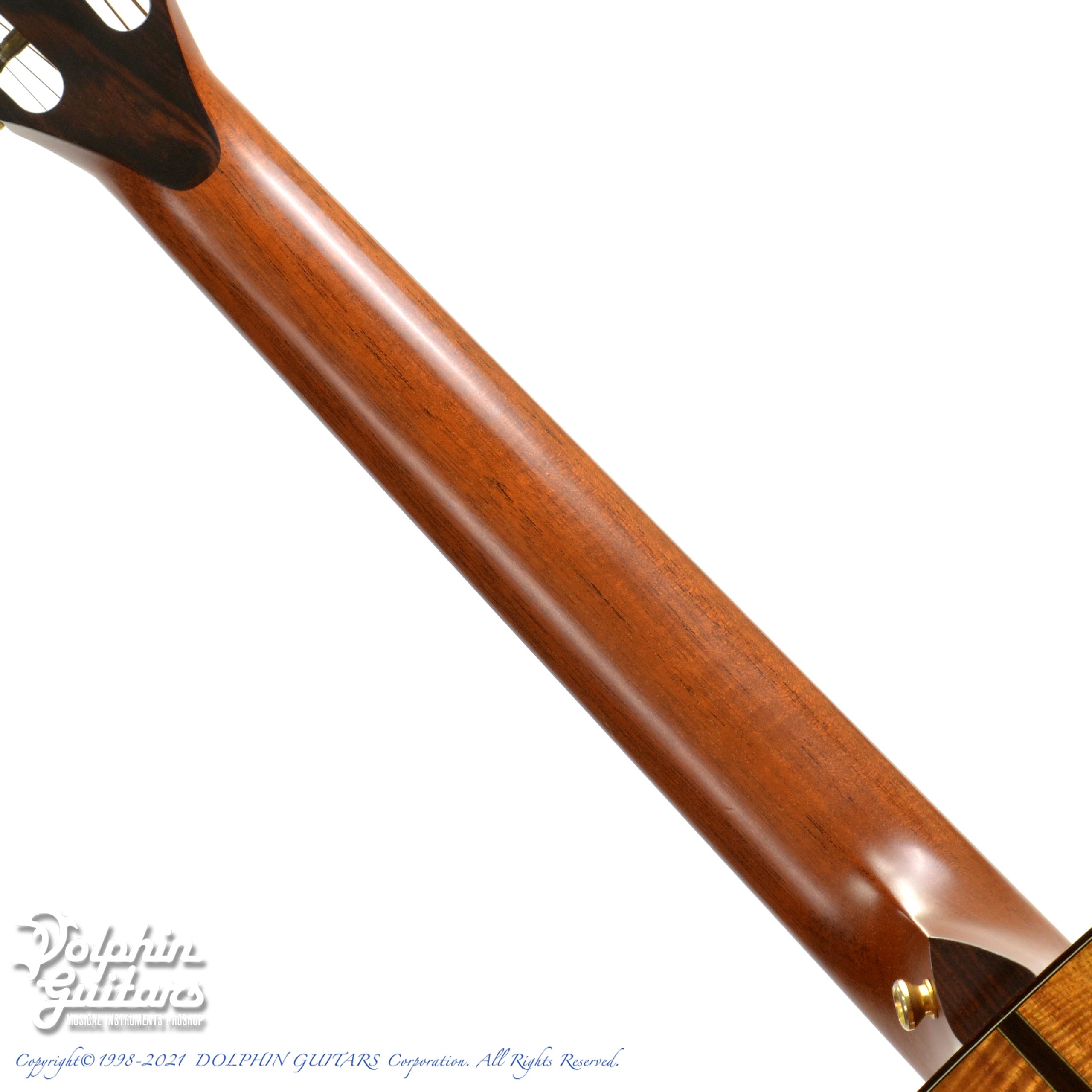 TAYLOR Koa 12-FRET GC-LTD ハワイアンコアオール単板 TAYLOR Koa GC |ドルフィンギターズ
