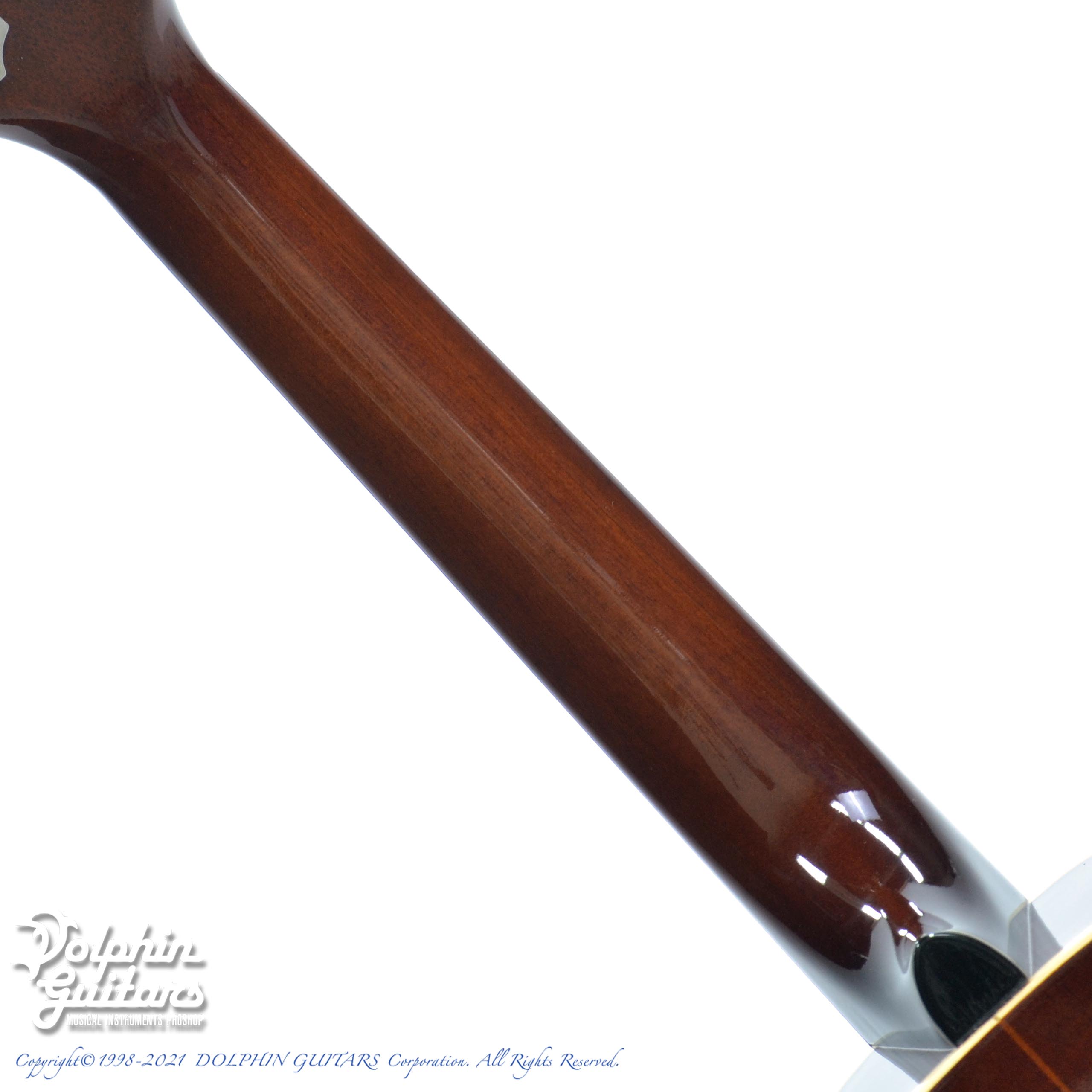 TONY GRAZIANO Jumbo Tenor Custom|ドルフィンギターズ 