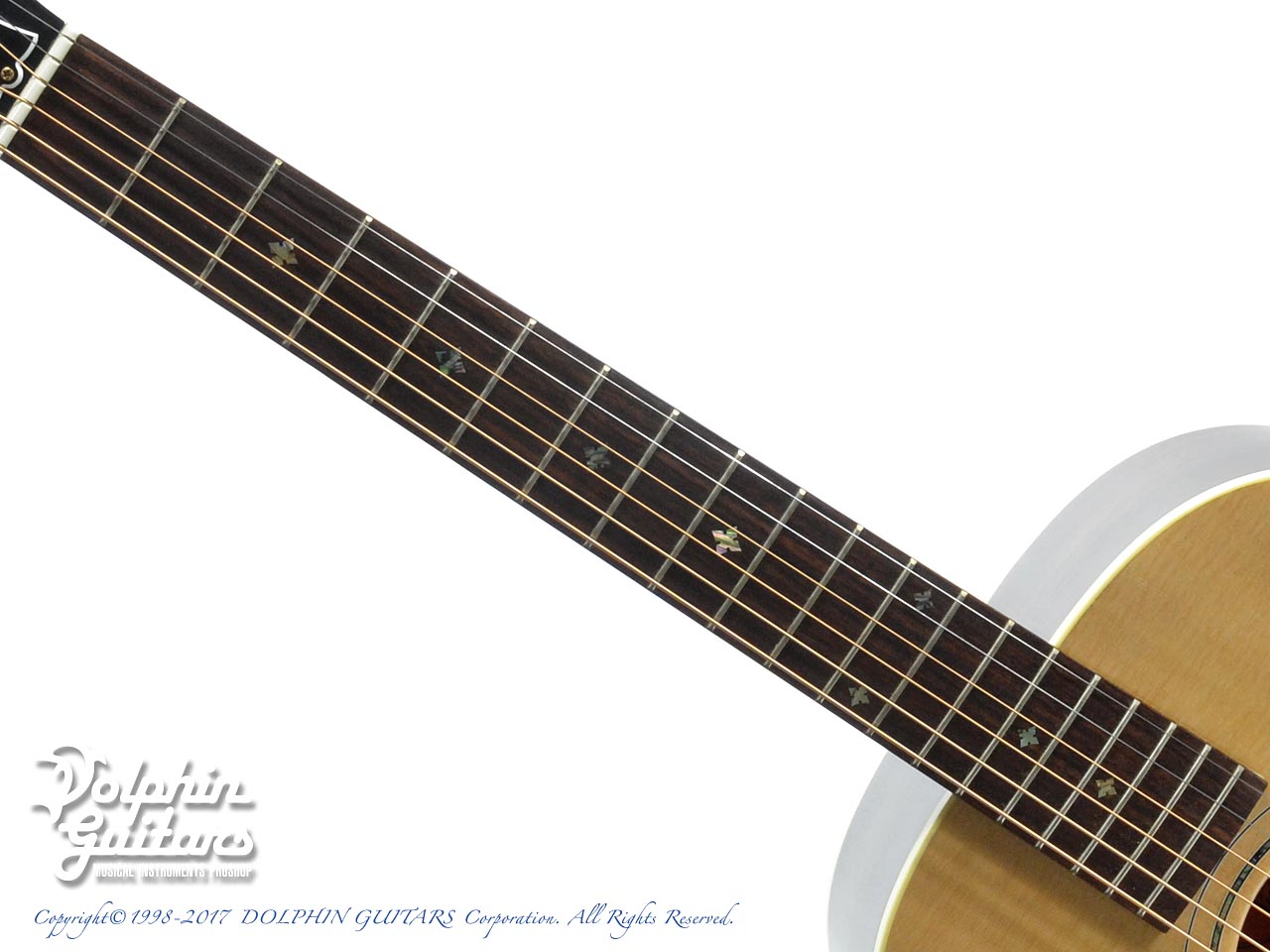 Gibson Custom Shop L-00 Mystic Rosewood|ドルフィンギターズ