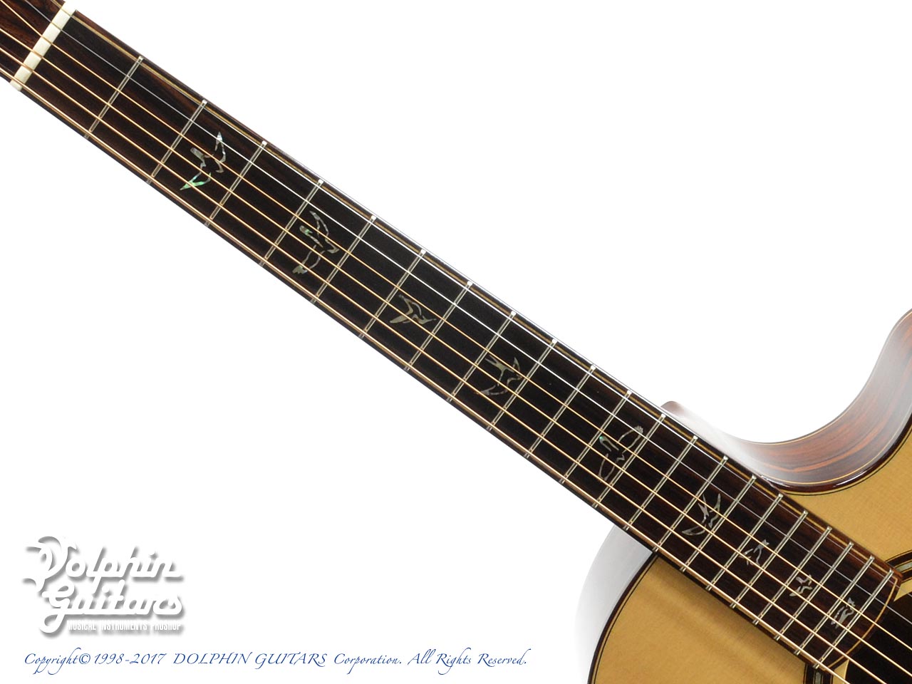 PAUL REED SMITH Angelus Cutaway Custom PU|ドルフィンギターズ