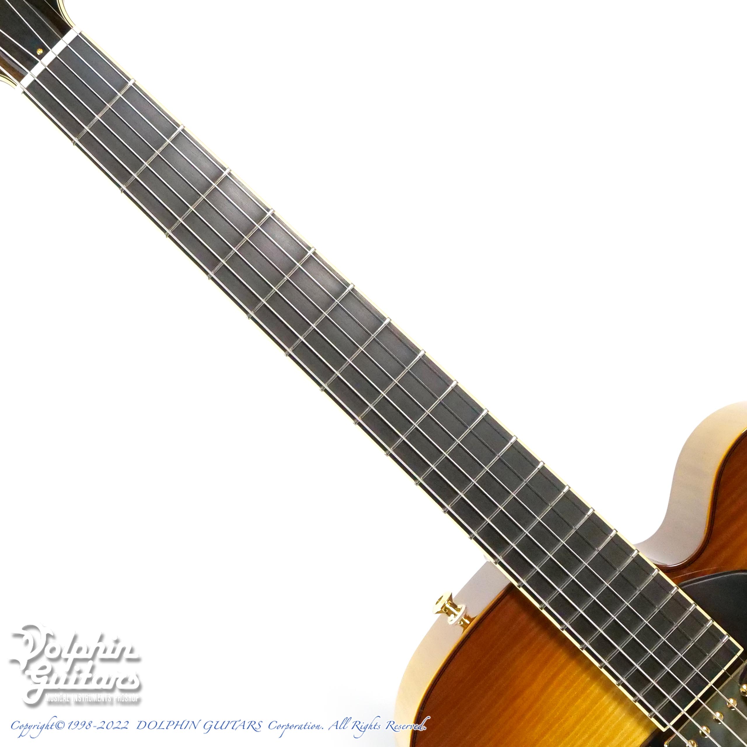 SADOWSKY The Jim Hall Model (CMB)|ドルフィンギターズ