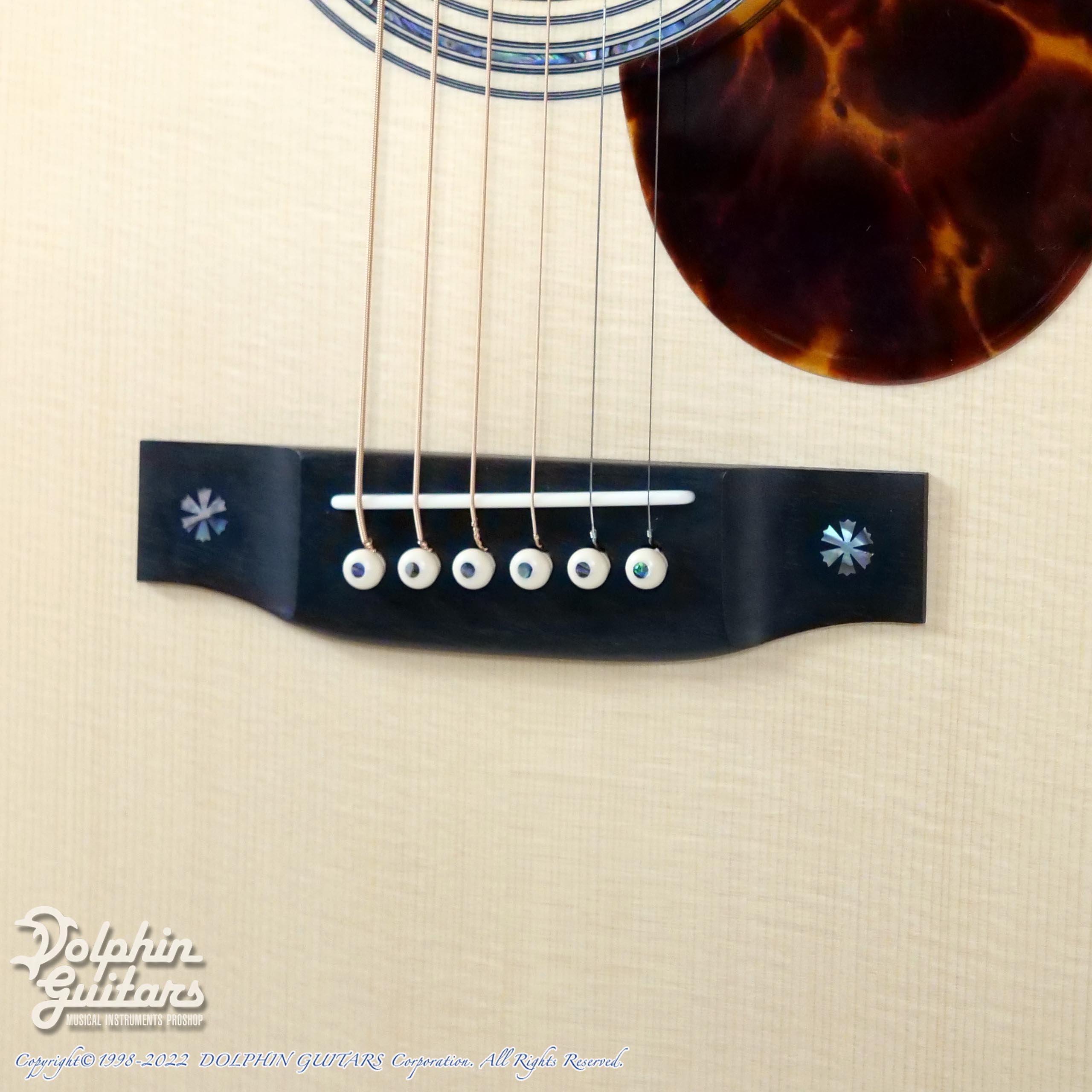 ギター ASTURIAS ec-emblem ASTURIAS E.C.Emblem Cutaway 60th Anniversary|ドルフィンギターズ