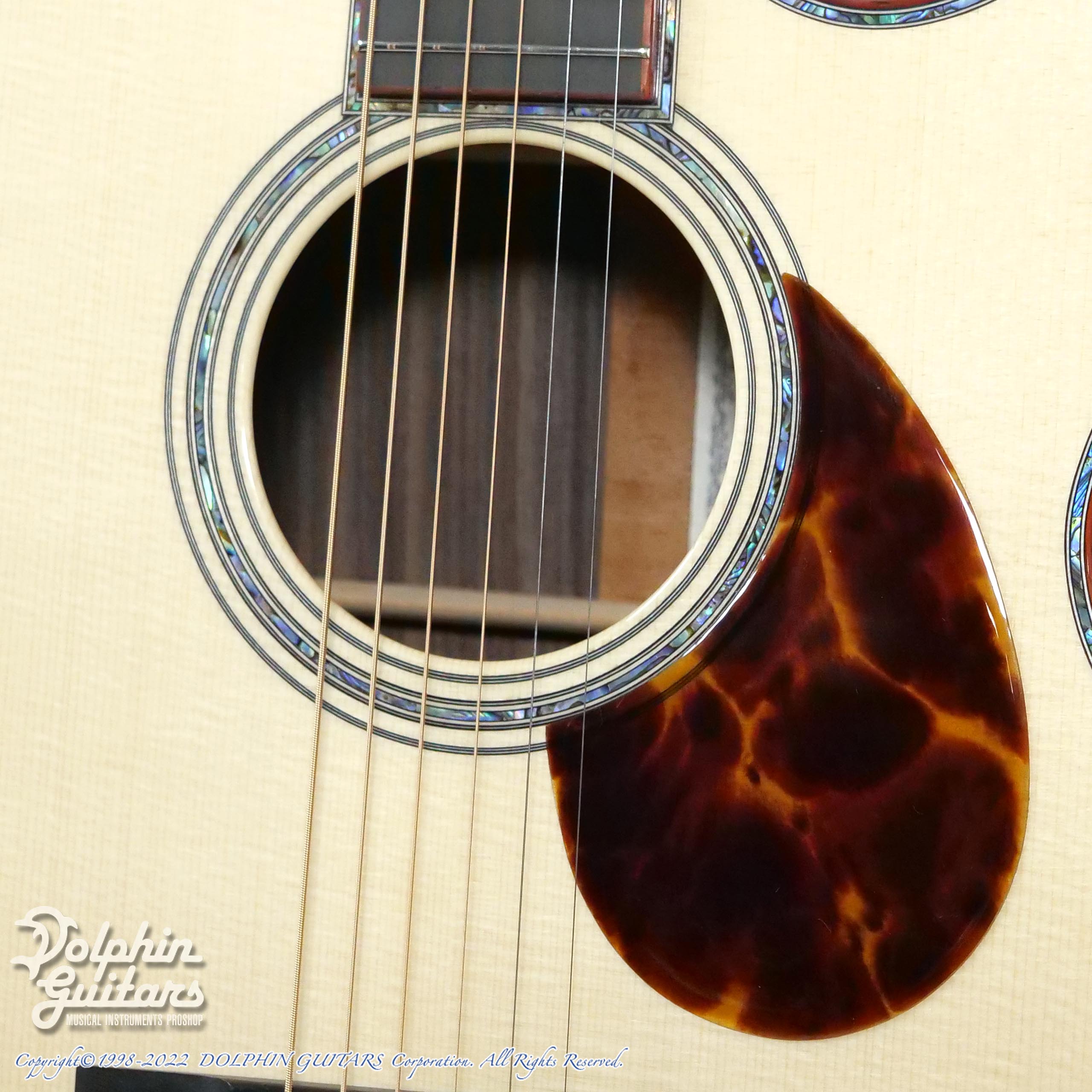 ASTURIAS E.C.Emblem Cutaway 60th Anniversary|ドルフィンギターズ