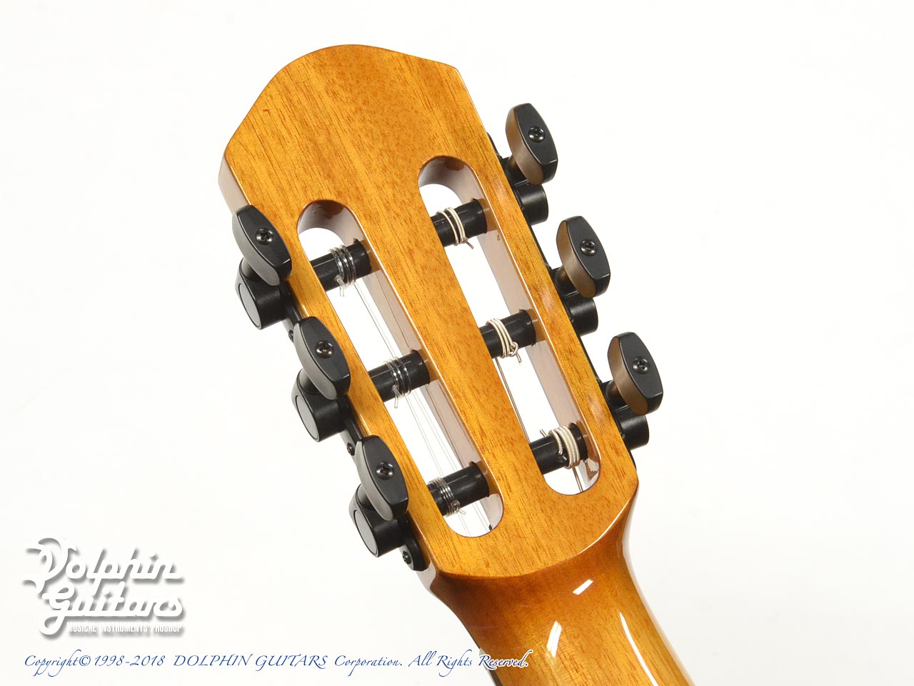 aNN-MN14EF Series Guitar aNueNue/Bird ギター ANueNue aNN-MN14EF