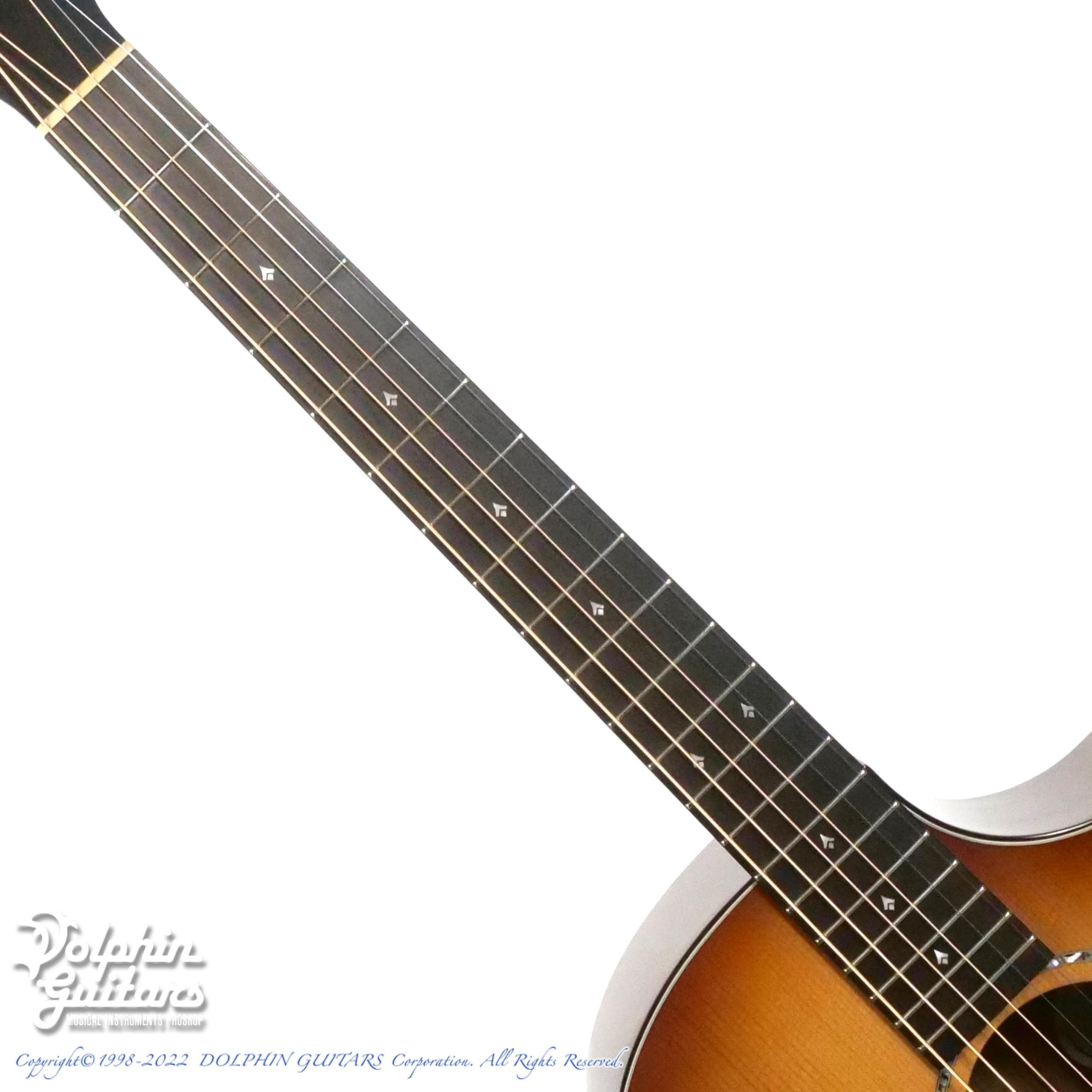 Breedlove Premier Concerto COPPER CE|ドルフィンギターズ
