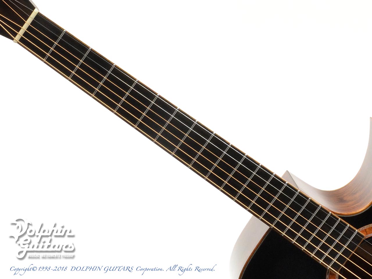 SWITCH SCD-3C Custom (Honduras Rosewood)|ドルフィンギターズ
