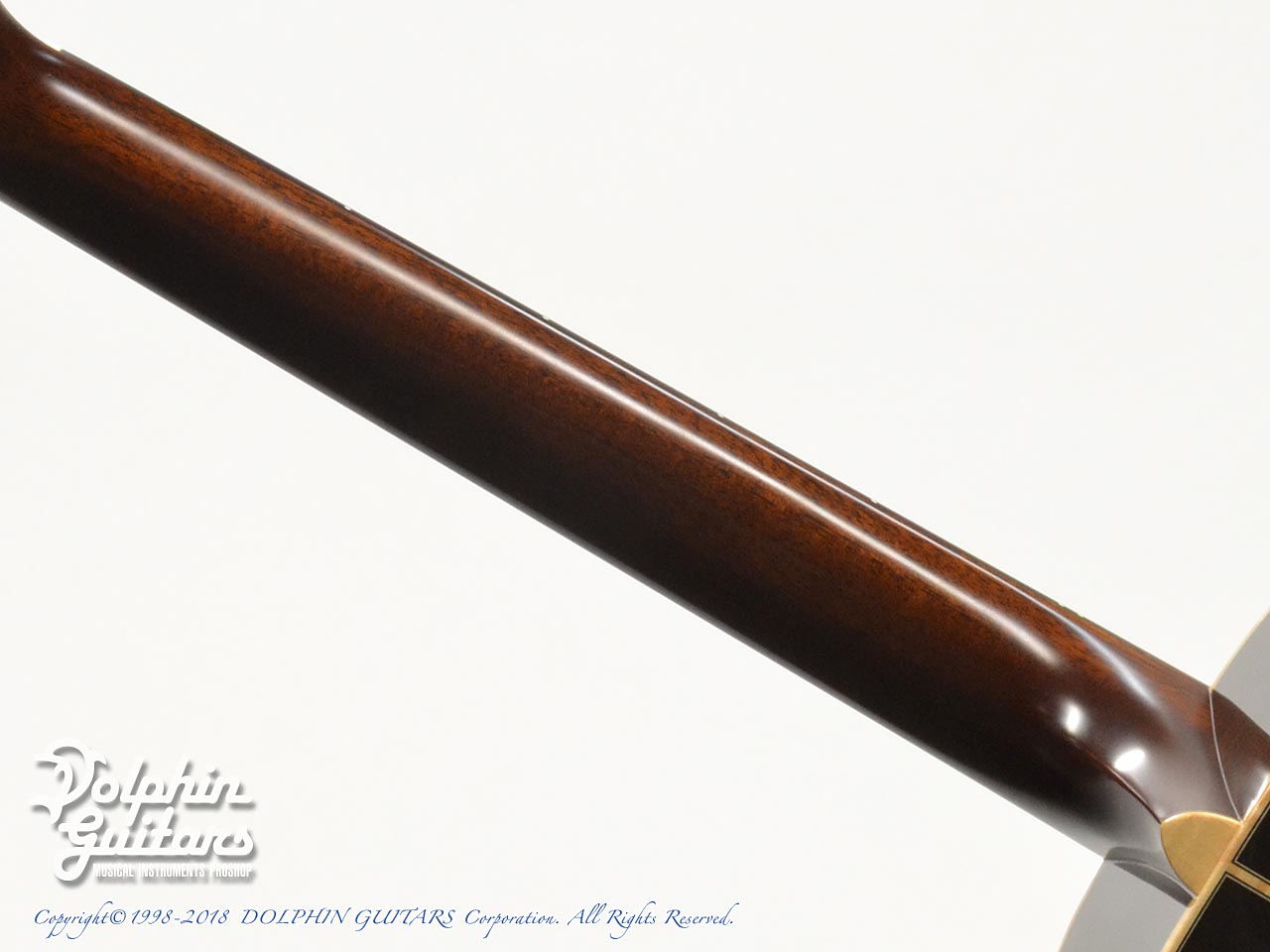 VG VG-01R (Rainy Blue Burst)|ドルフィンギターズ